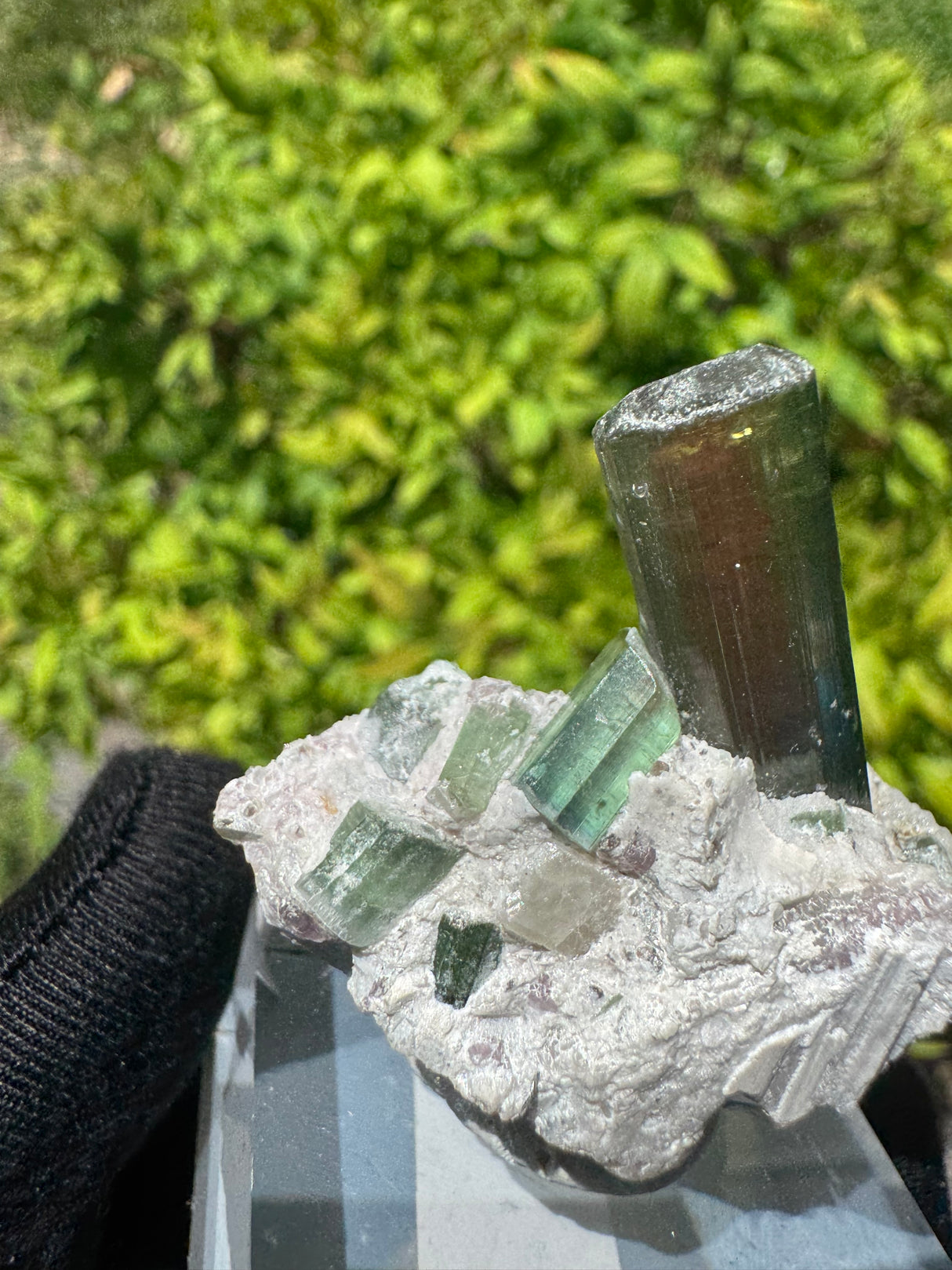 Watermelon Tourmaline Specimen - 34g