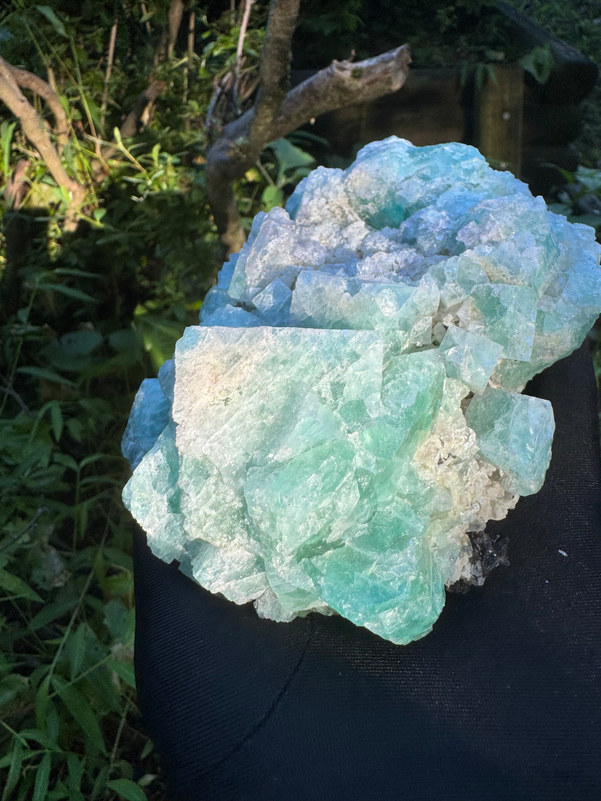 Fluorite Specimen - 1215g