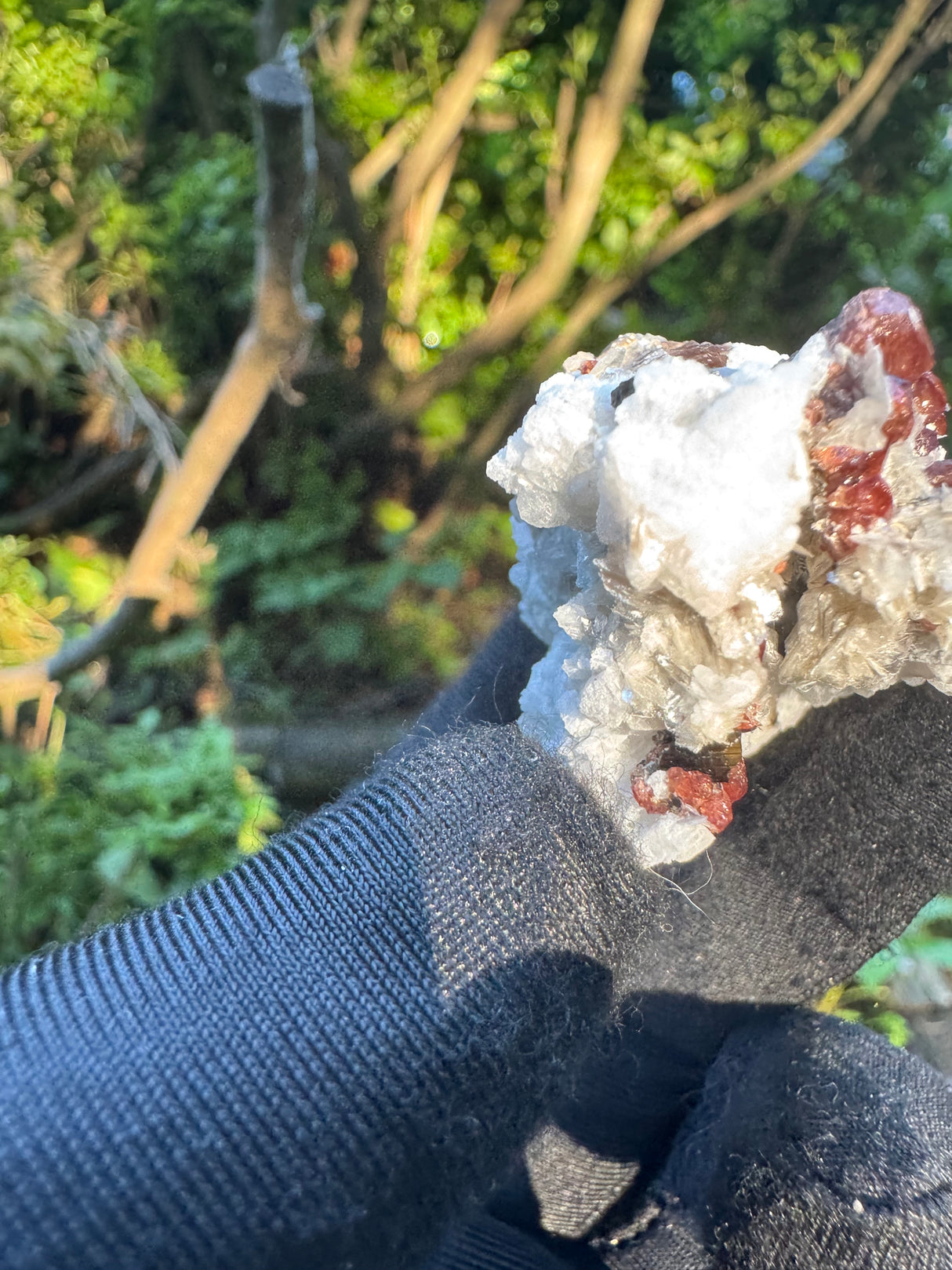 Garnet on Star Mica Specimen - 33g