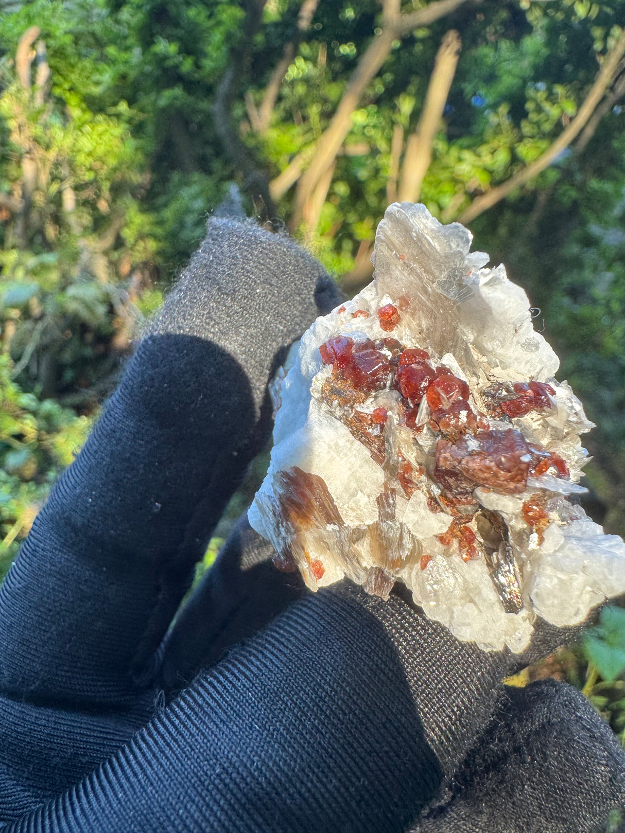 Garnet on Star Mica Specimen - 33g