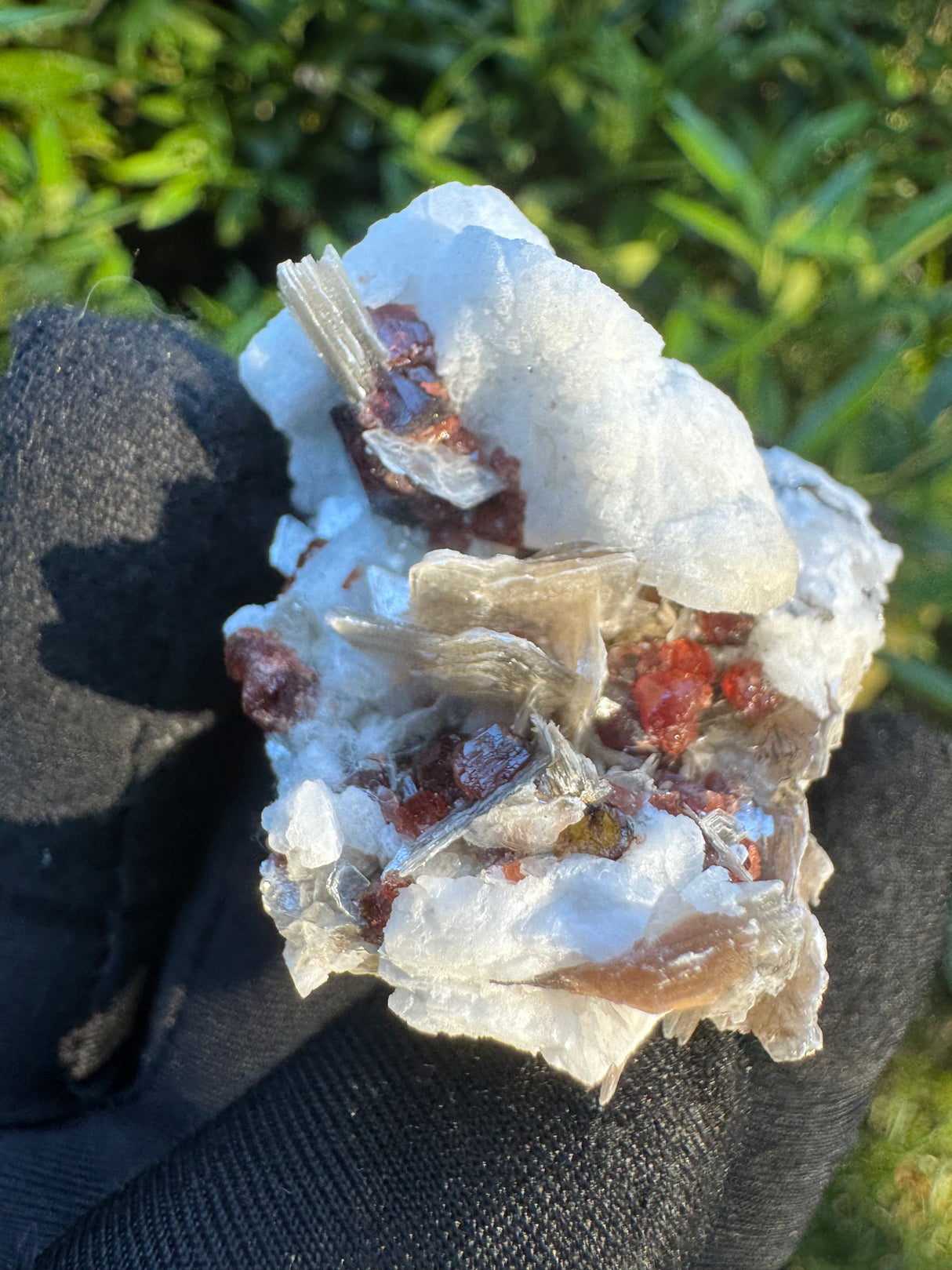 Garnet on Star Mica Specimen - 39g