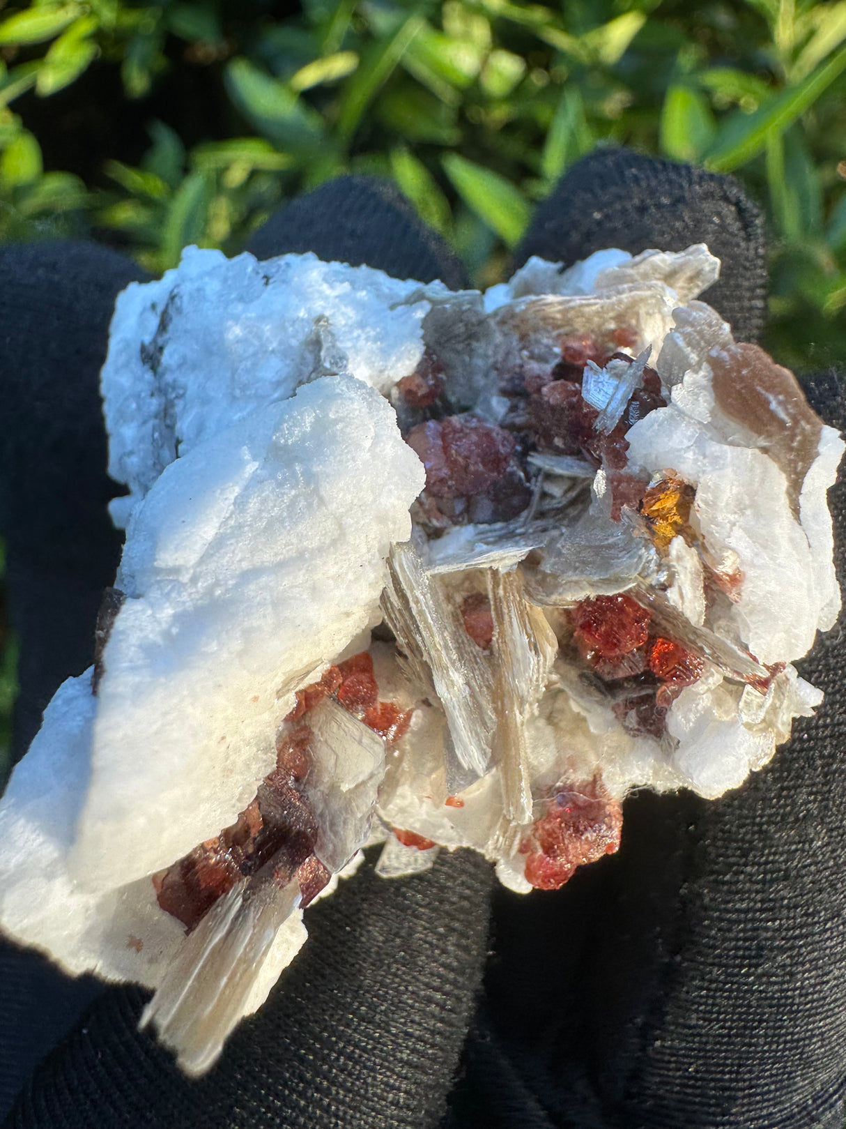 Garnet on Star Mica Specimen - 39g