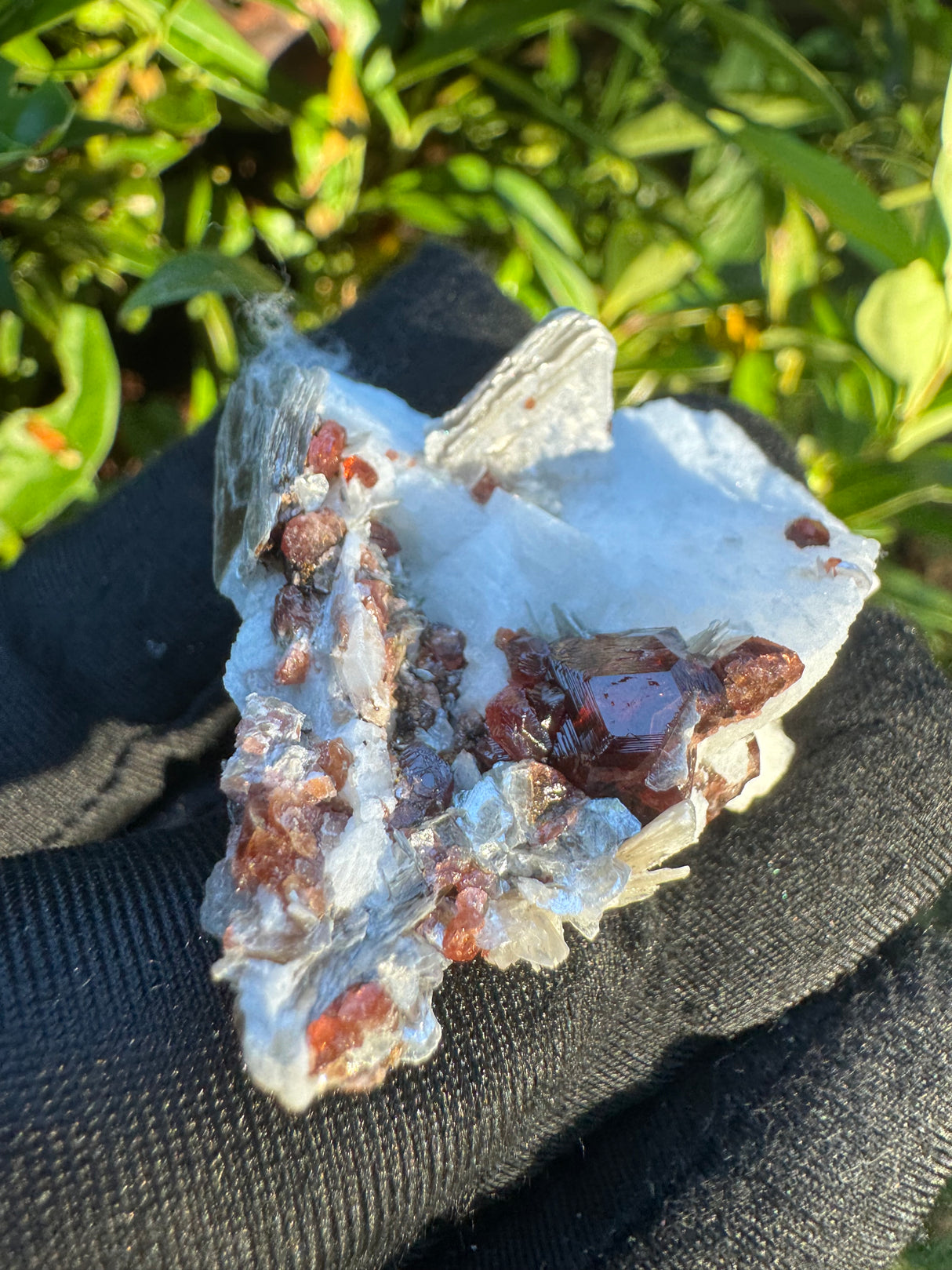 Garnet on Star Mica Specimen - 28g