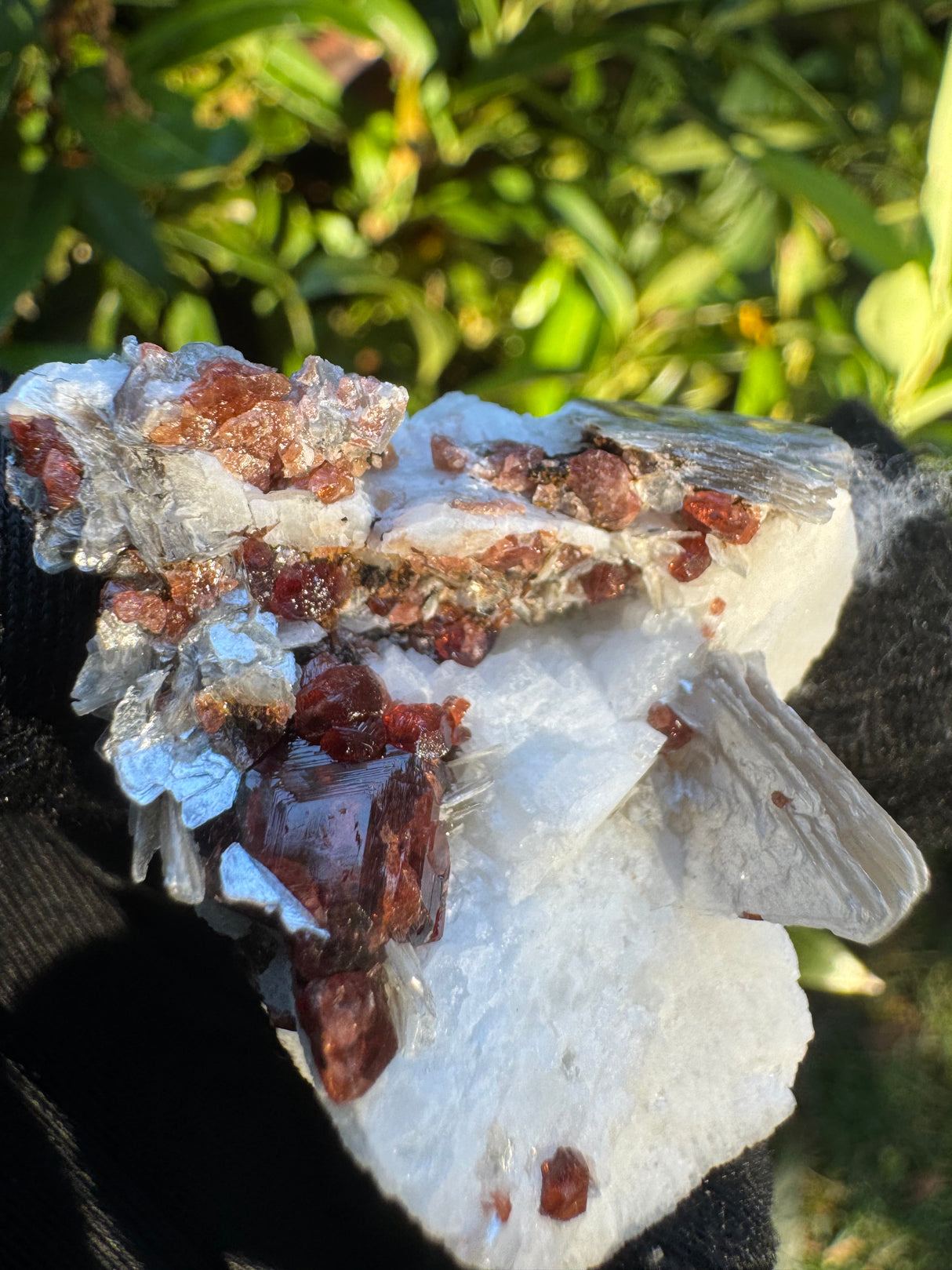 Garnet on Star Mica Specimen - 28g