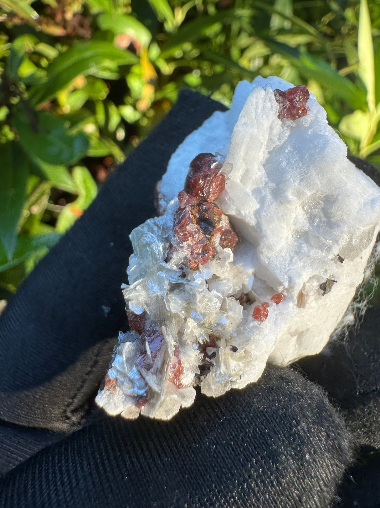 Garnet on Star Mica Specimen - 28g