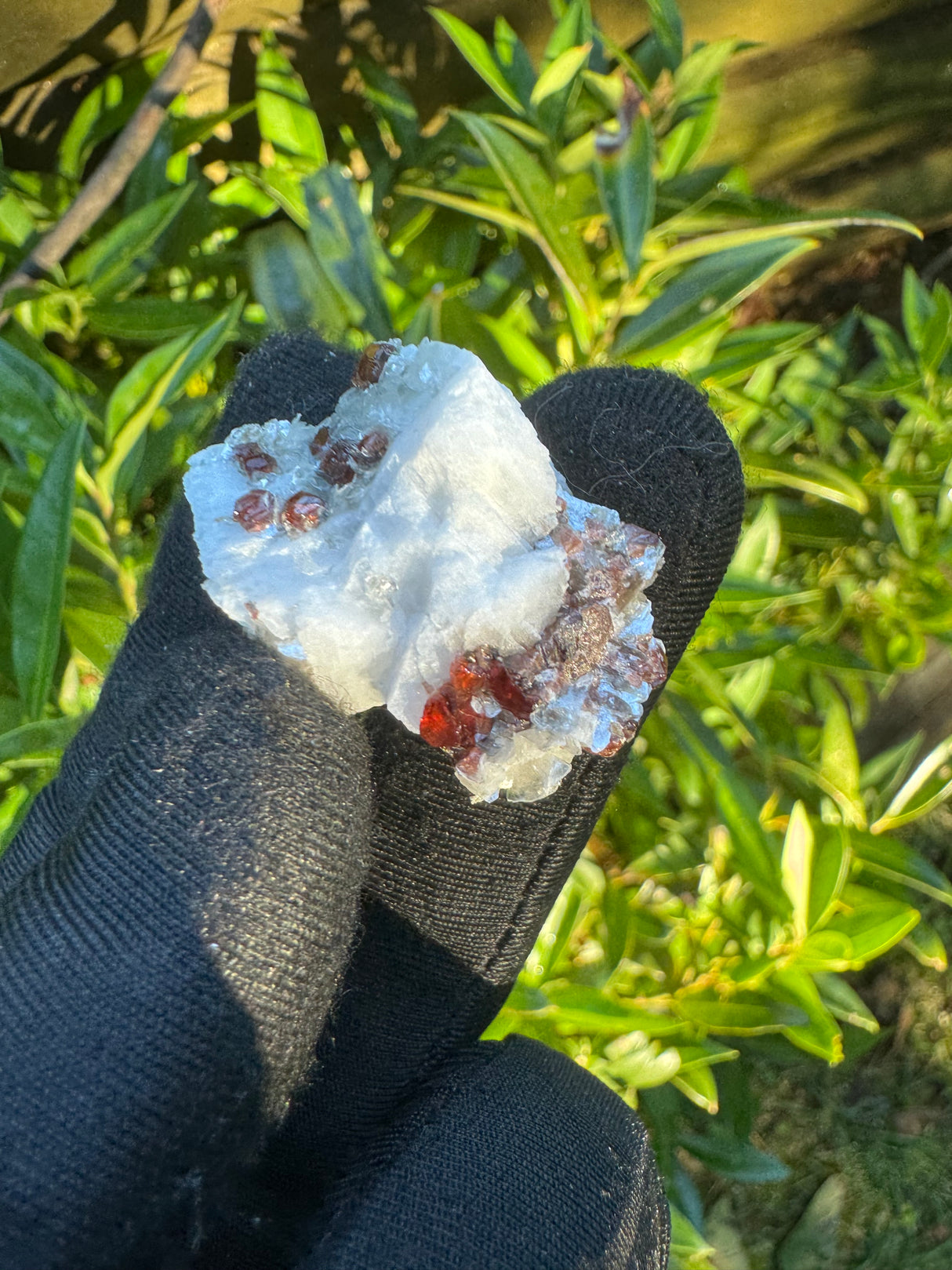 Garnet on Star Mica Specimen - 13g
