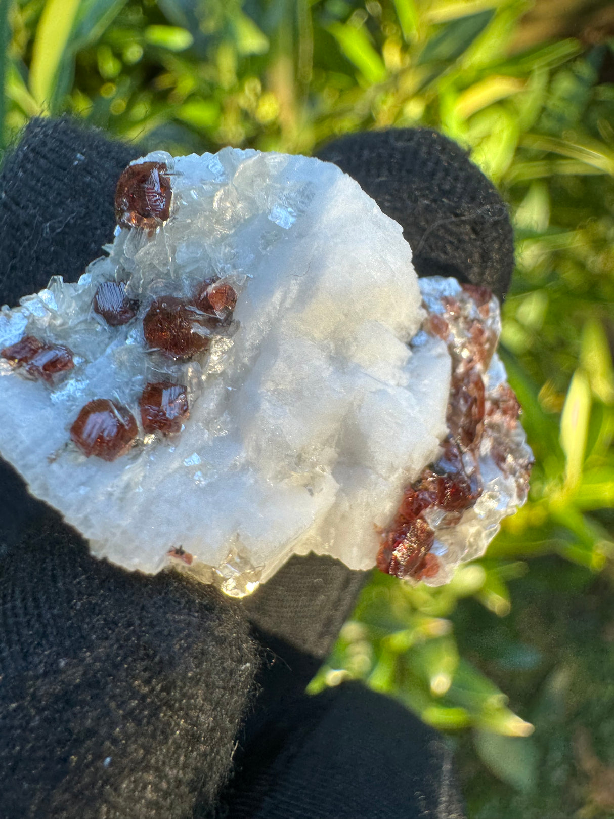 Garnet on Star Mica Specimen - 13g