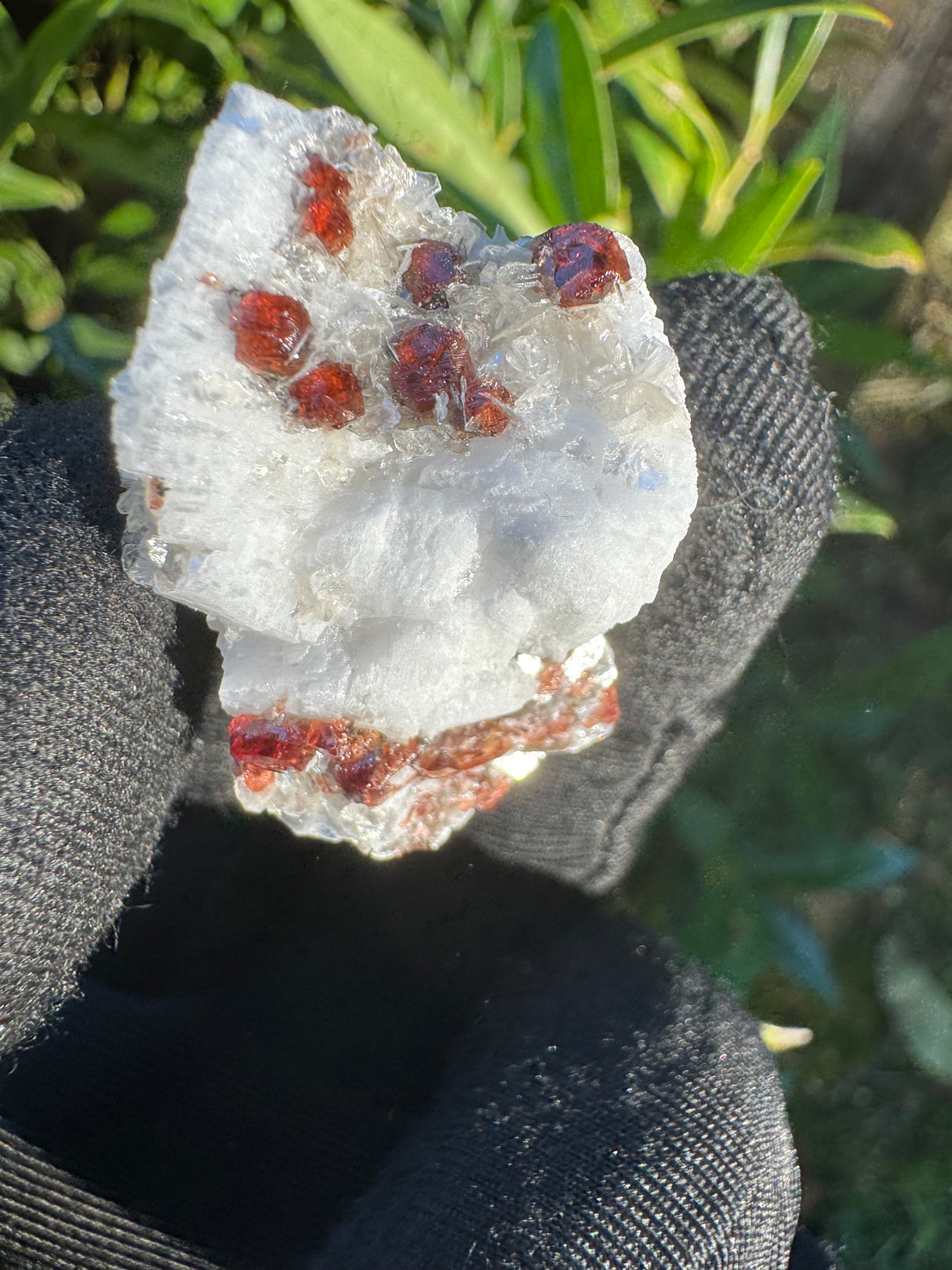 Garnet on Star Mica Specimen - 13g
