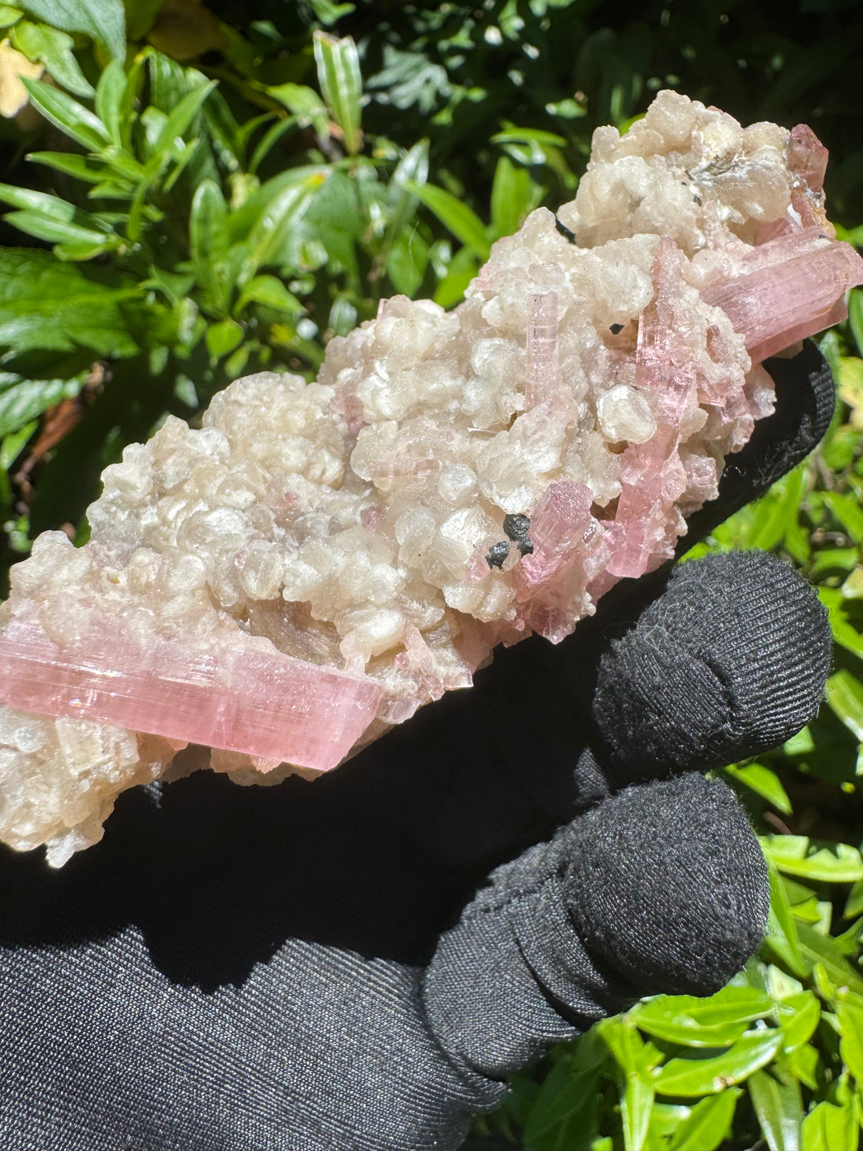 Pink Tourmaline Specimen - 115g