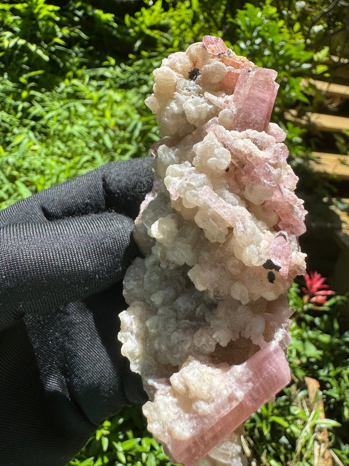 Pink Tourmaline Specimen - 115g