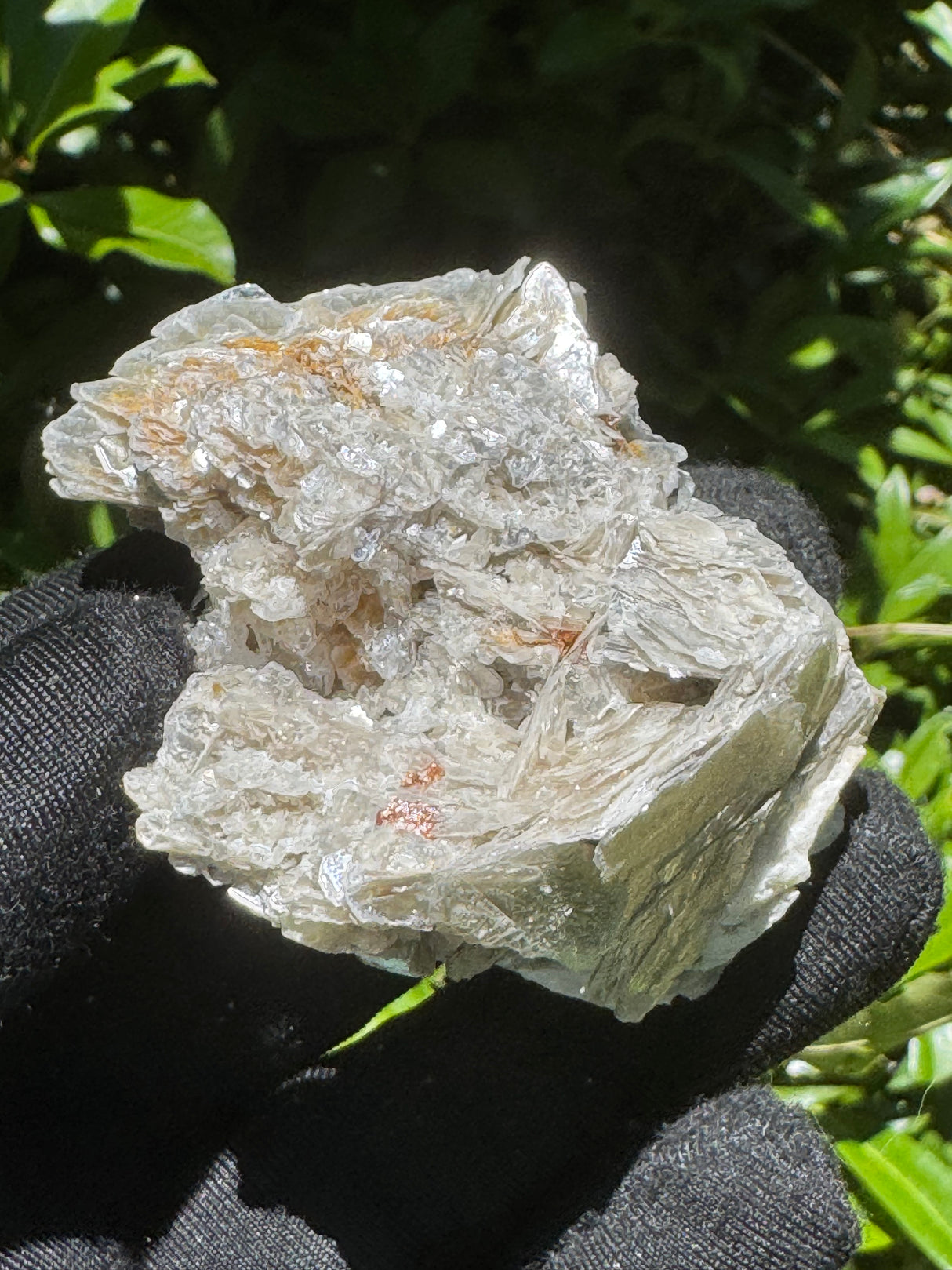 Garnet on Star Mica Specimen - 40g