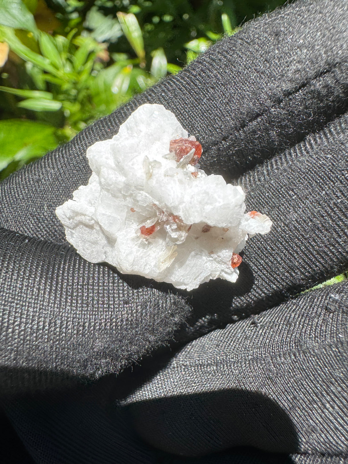 Garnet on Star Mica Specimen - 9g