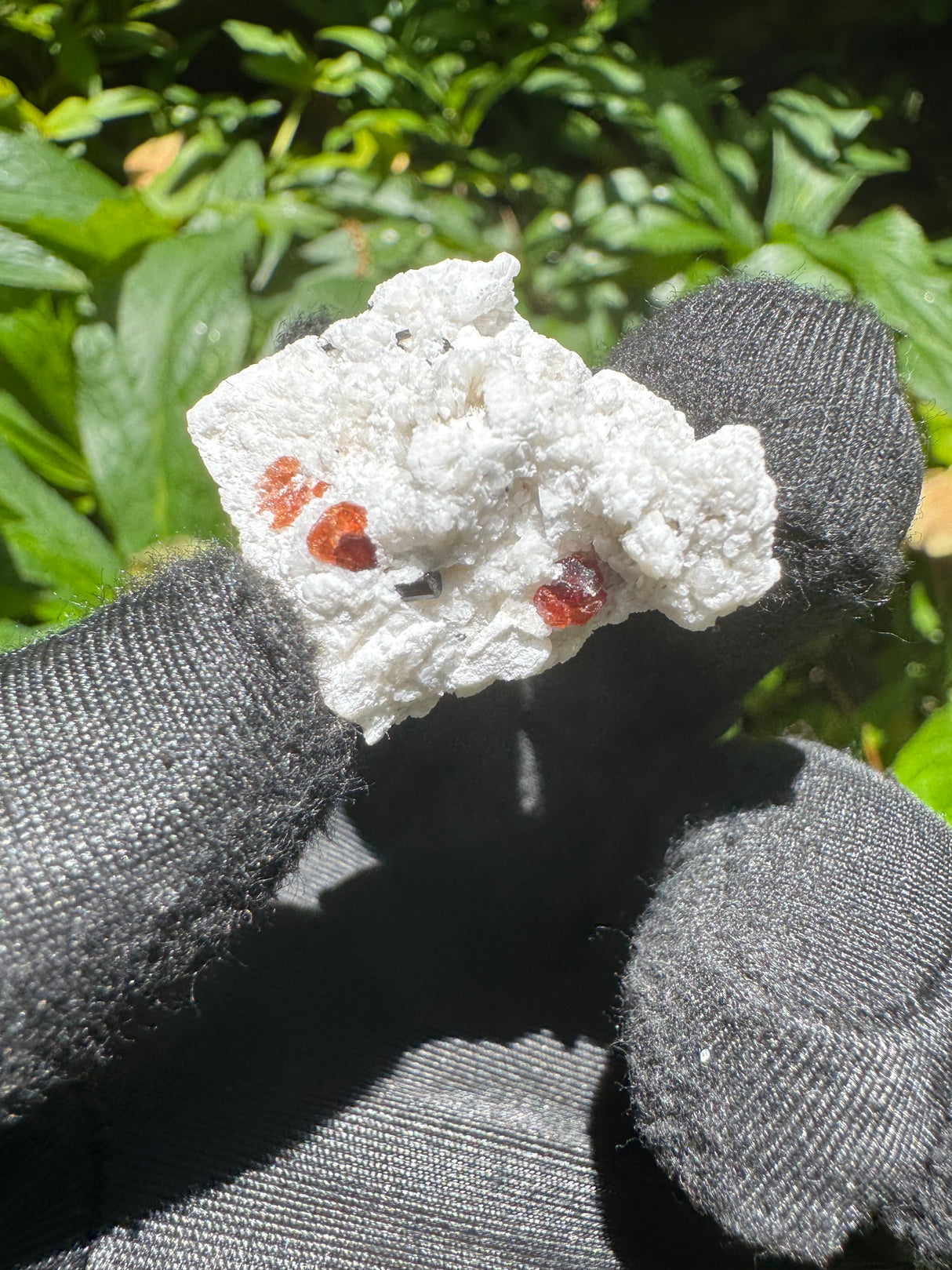 Garnet on Star Mica Specimen - 9g