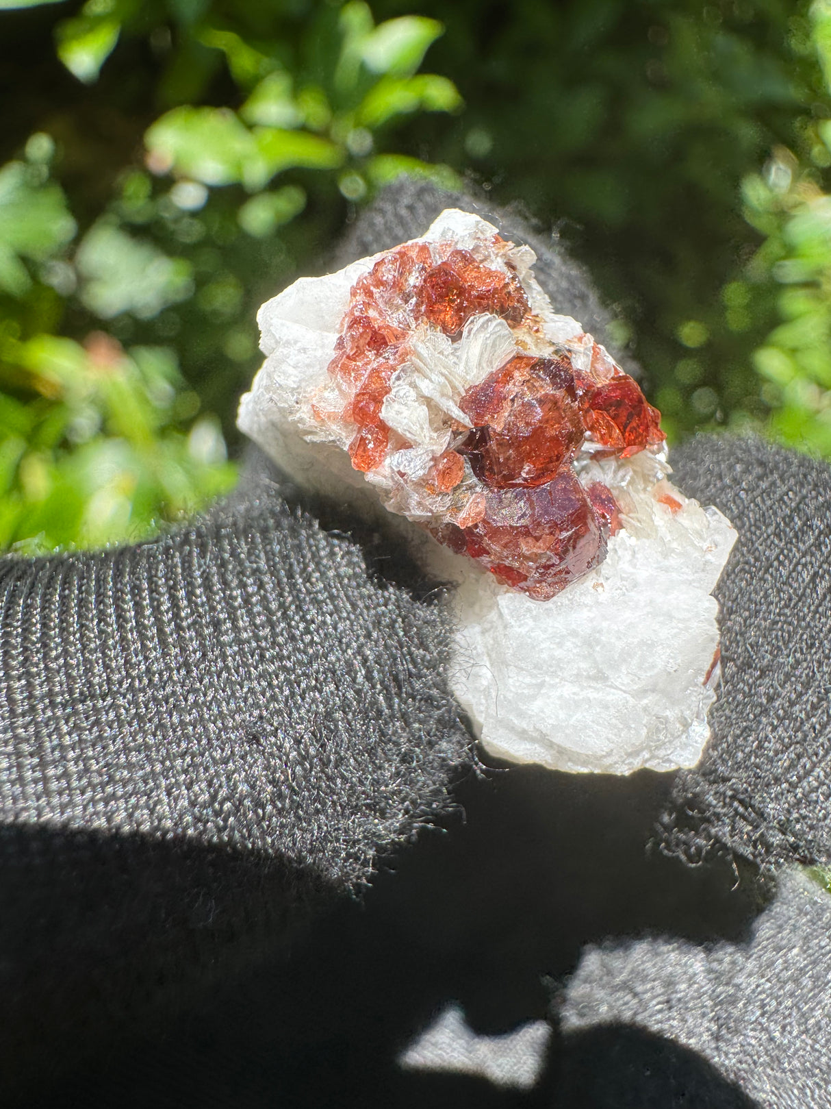 Garnet on Star Mica Specimen - 9g