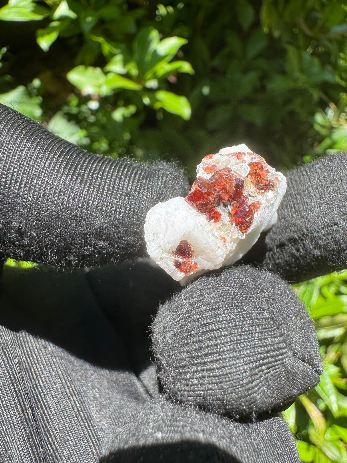Garnet on Star Mica Specimen - 9g