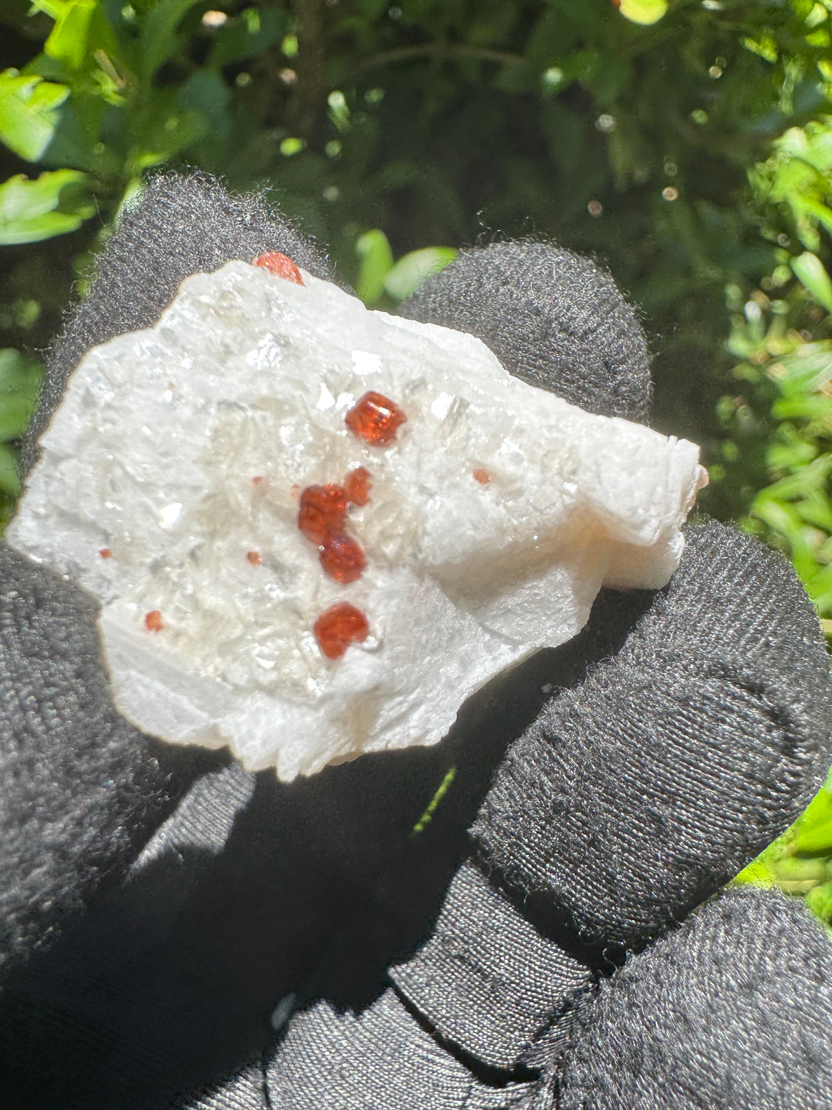 Garnet on Star Mica Specimen - 11g