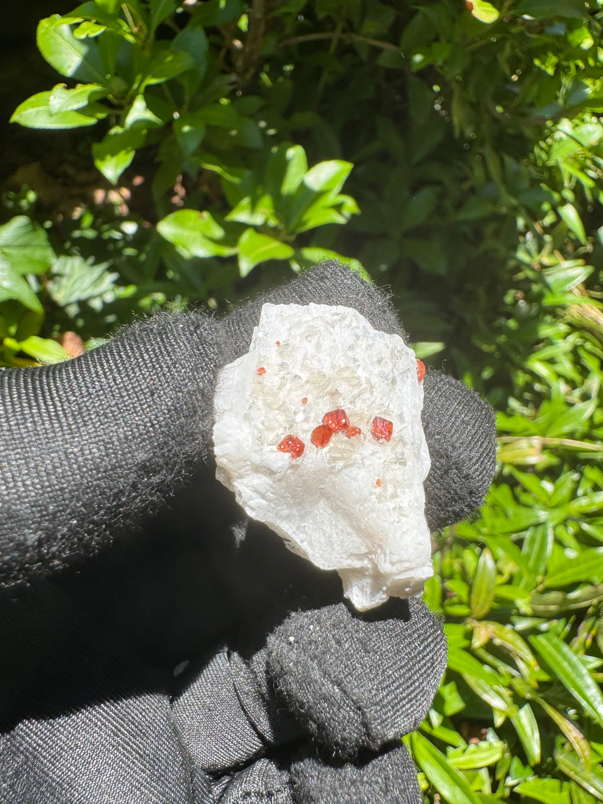 Garnet on Star Mica Specimen - 11g