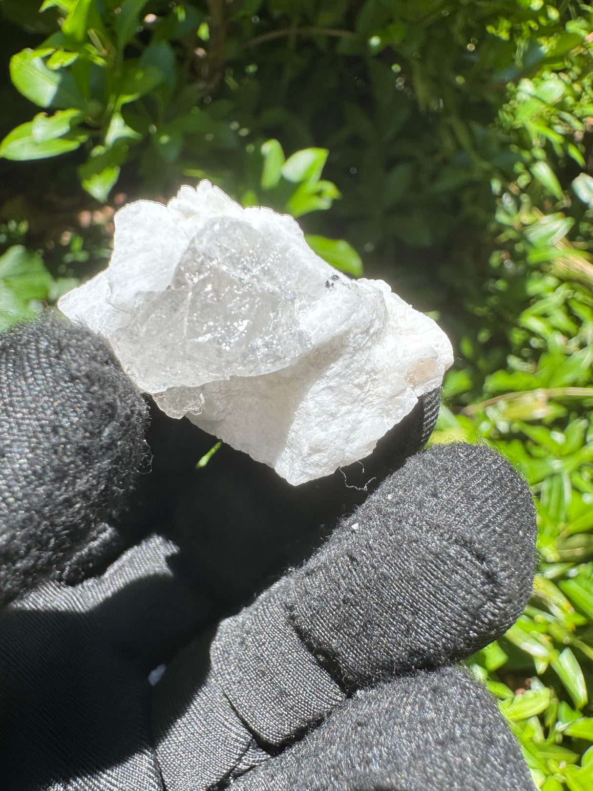 Garnet on Star Mica Specimen - 11g