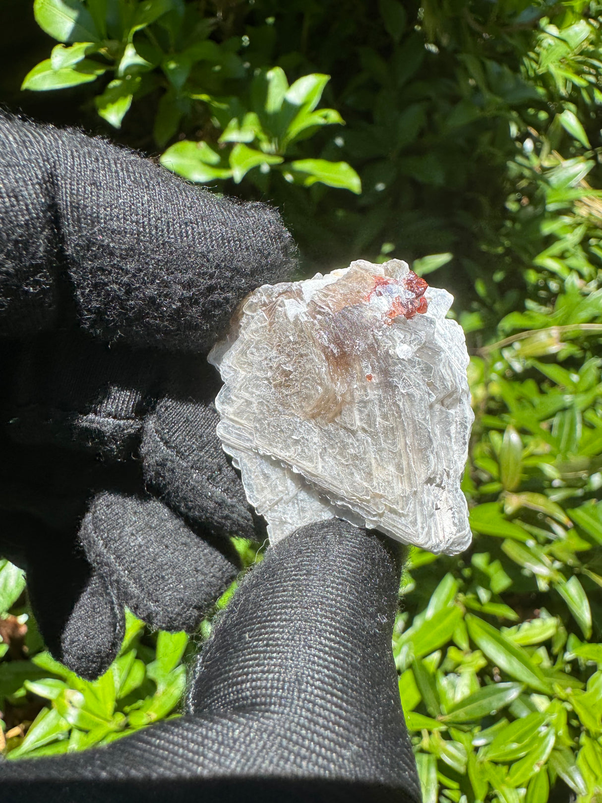 Garnet on Star Mica Specimen - 11g