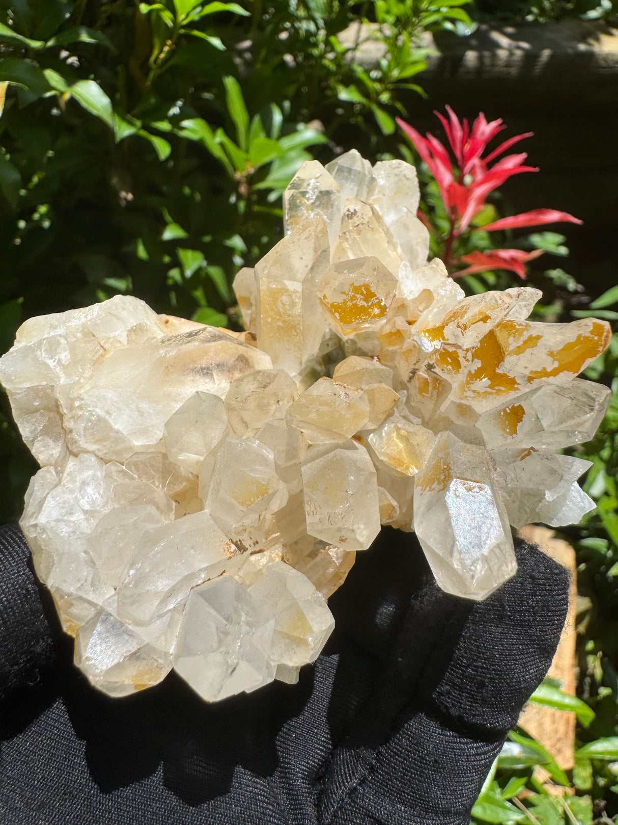 Faden Quartz Specimen - 234g