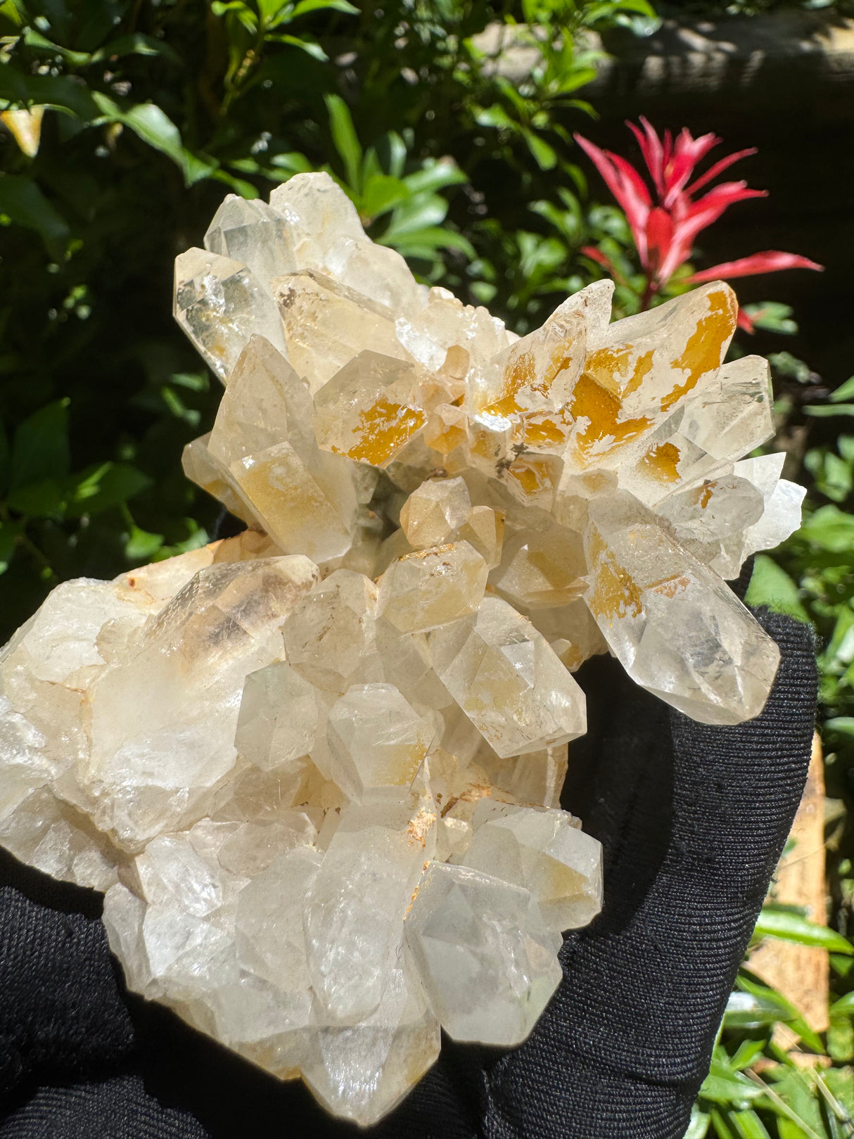 Faden Quartz Specimen - 234g