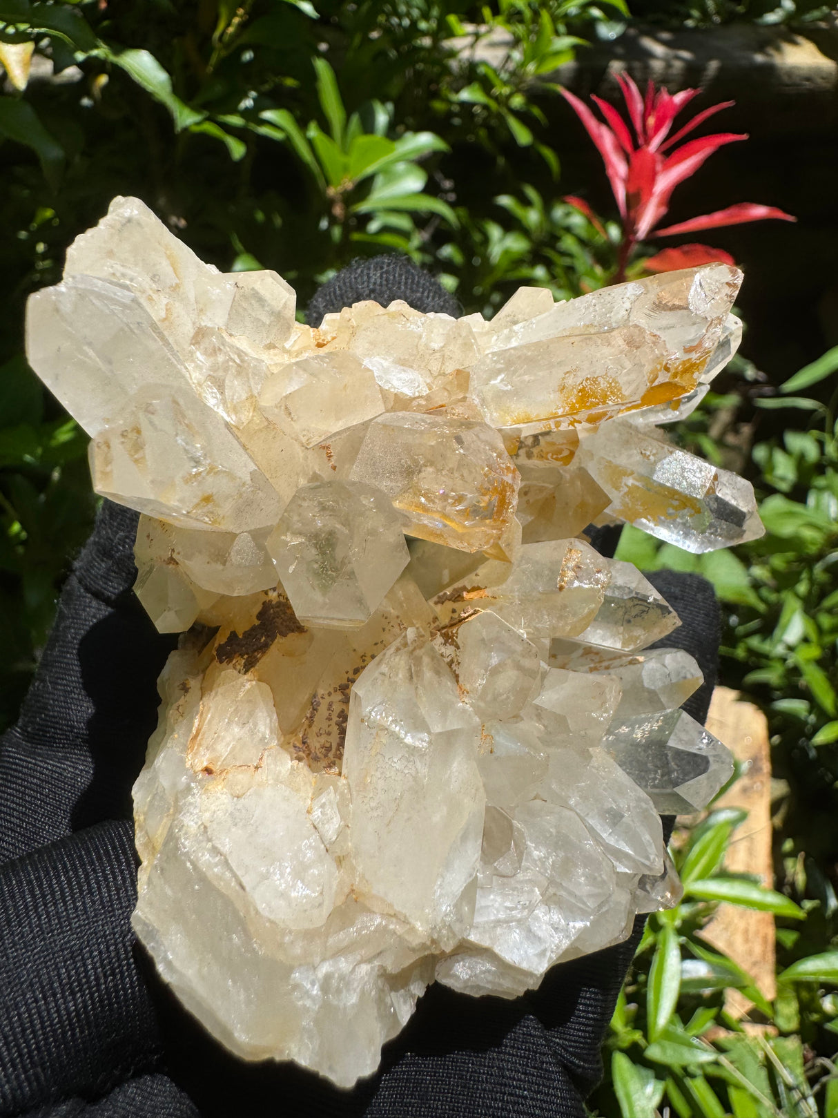 Faden Quartz Specimen - 234g