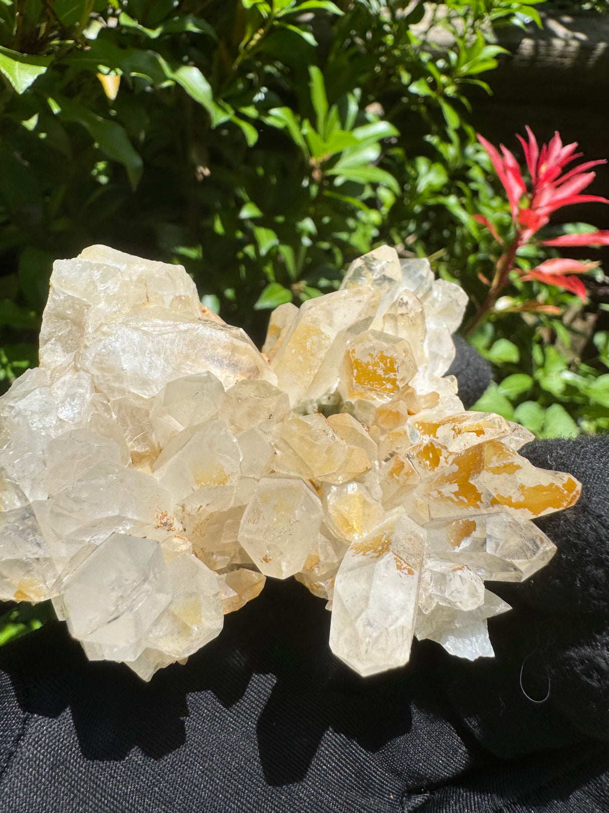 Faden Quartz Specimen - 234g