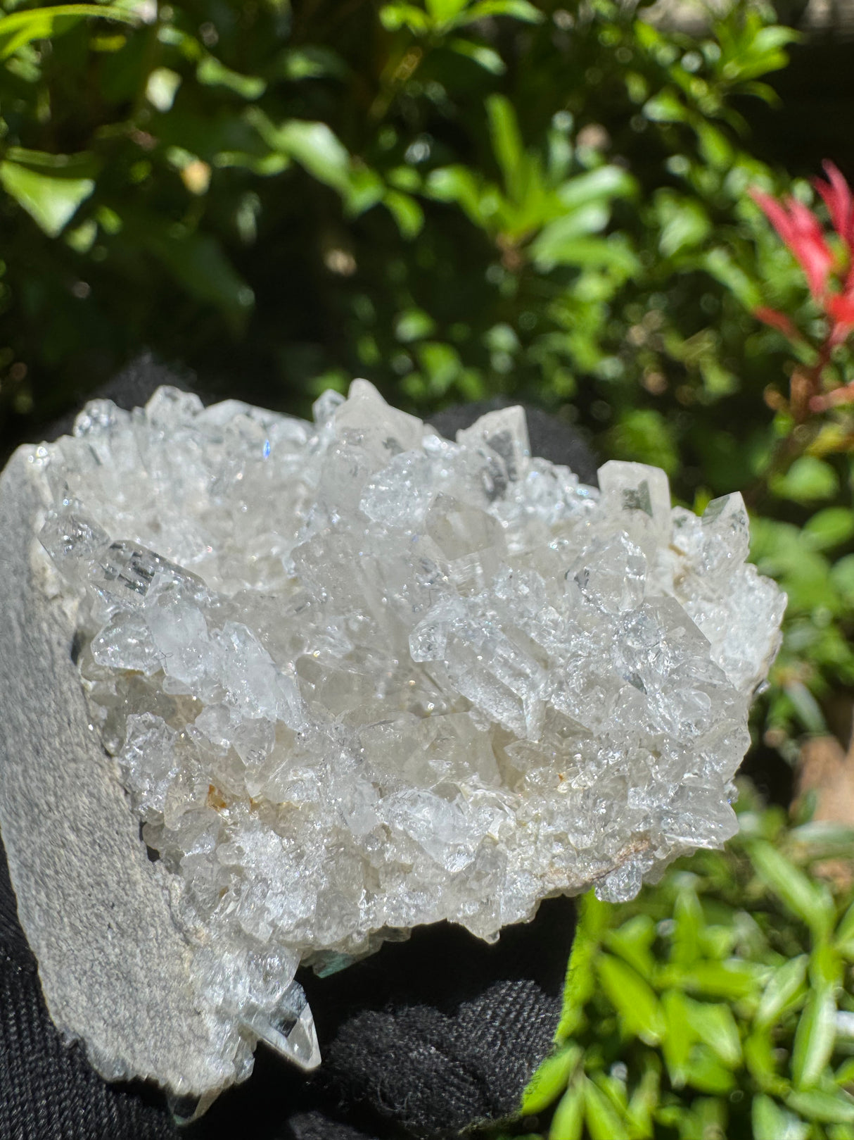 Faden Quartz Specimen - 63g
