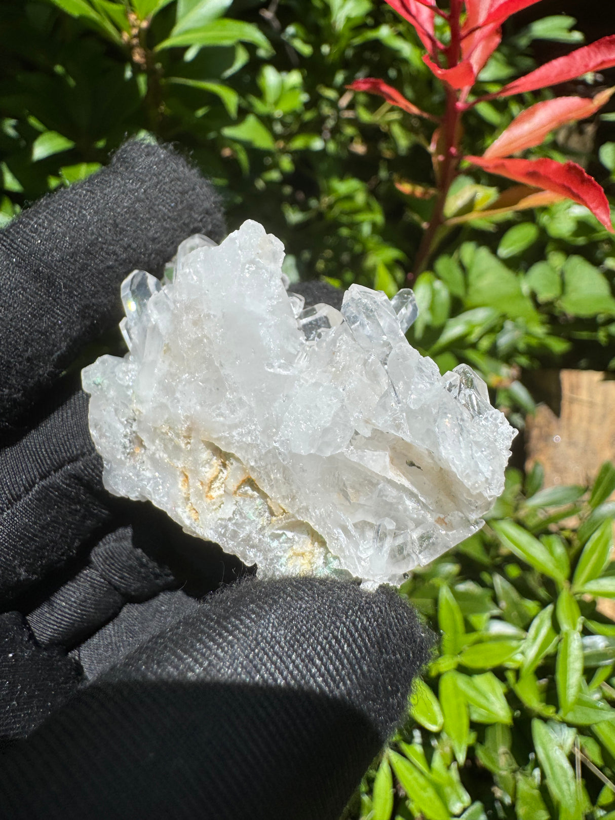 Faden Quartz Specimen - 39g