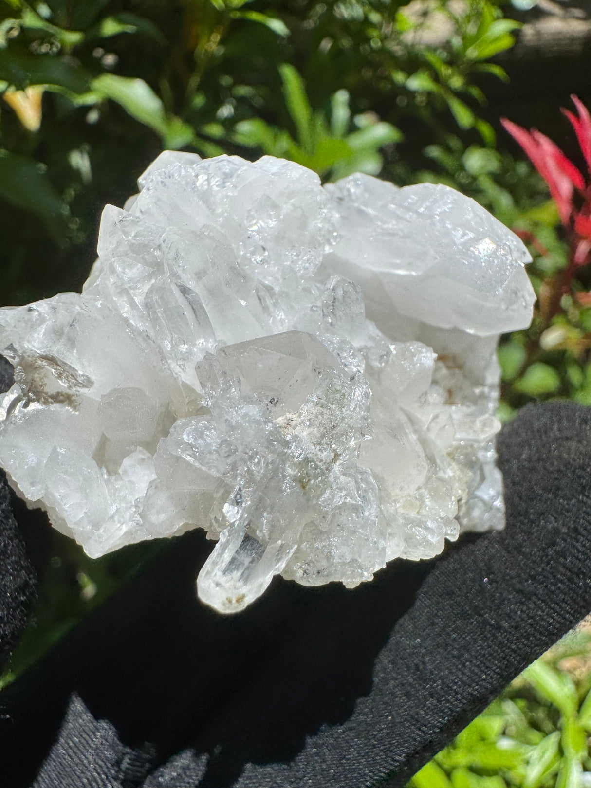 Faden Quartz Specimen - 77g