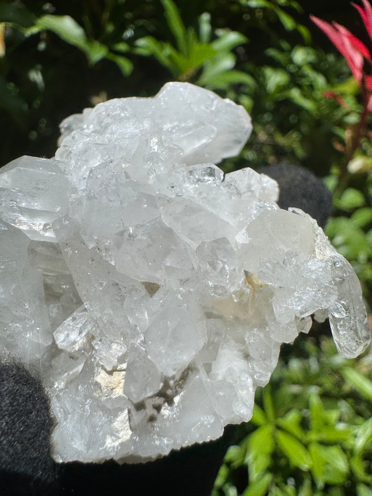 Faden Quartz Specimen - 77g