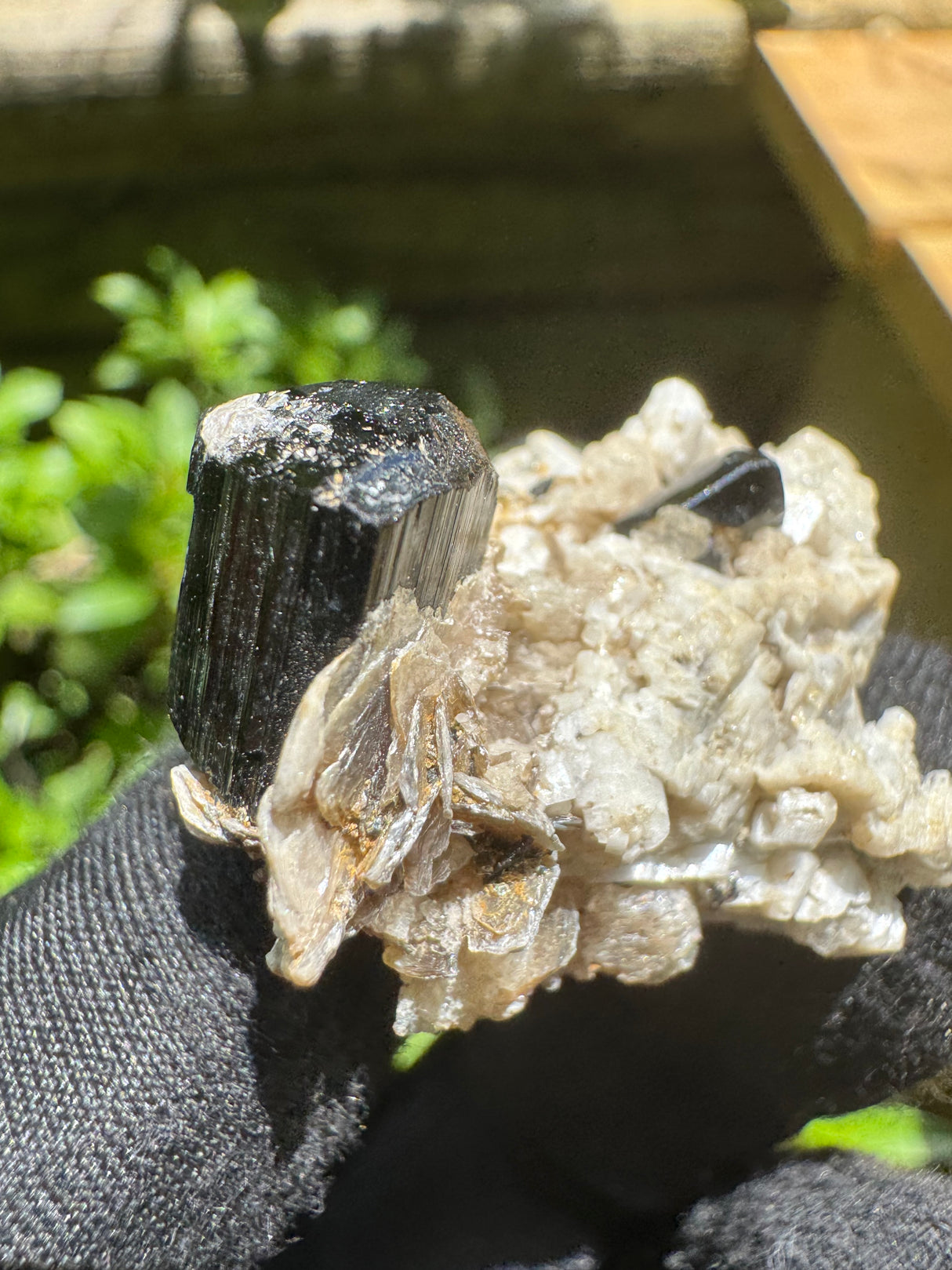 Black Tourmaline Specimen - 15g