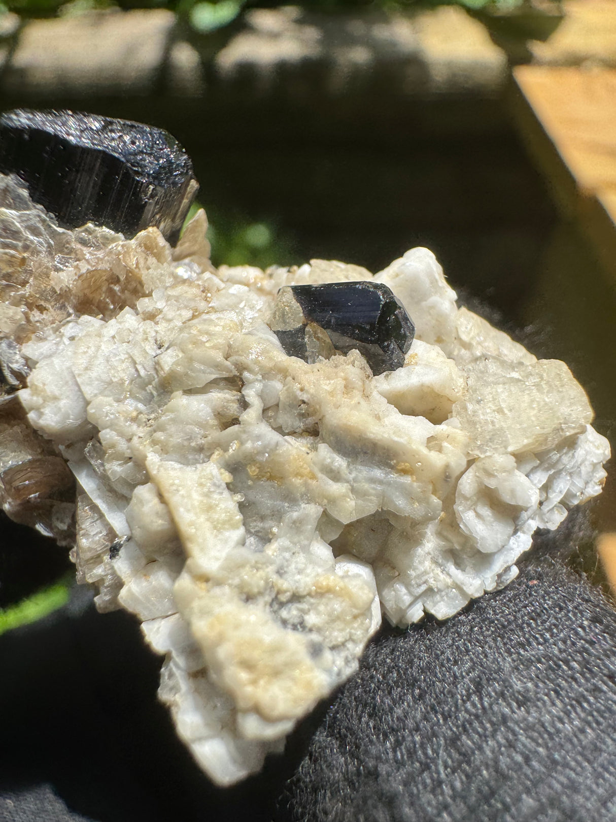Black Tourmaline Specimen - 15g