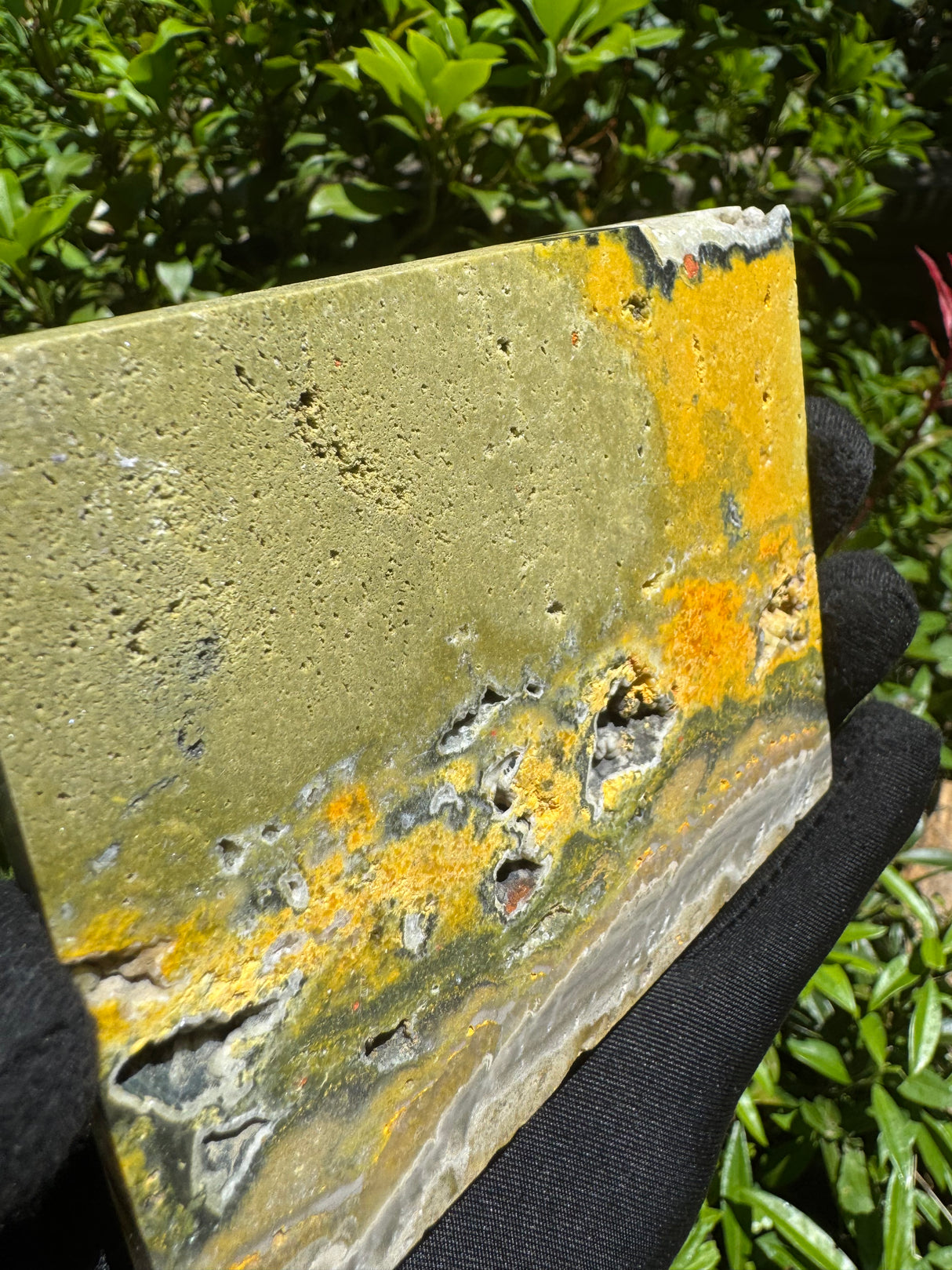 Bumblebee Agate Slab - 216g