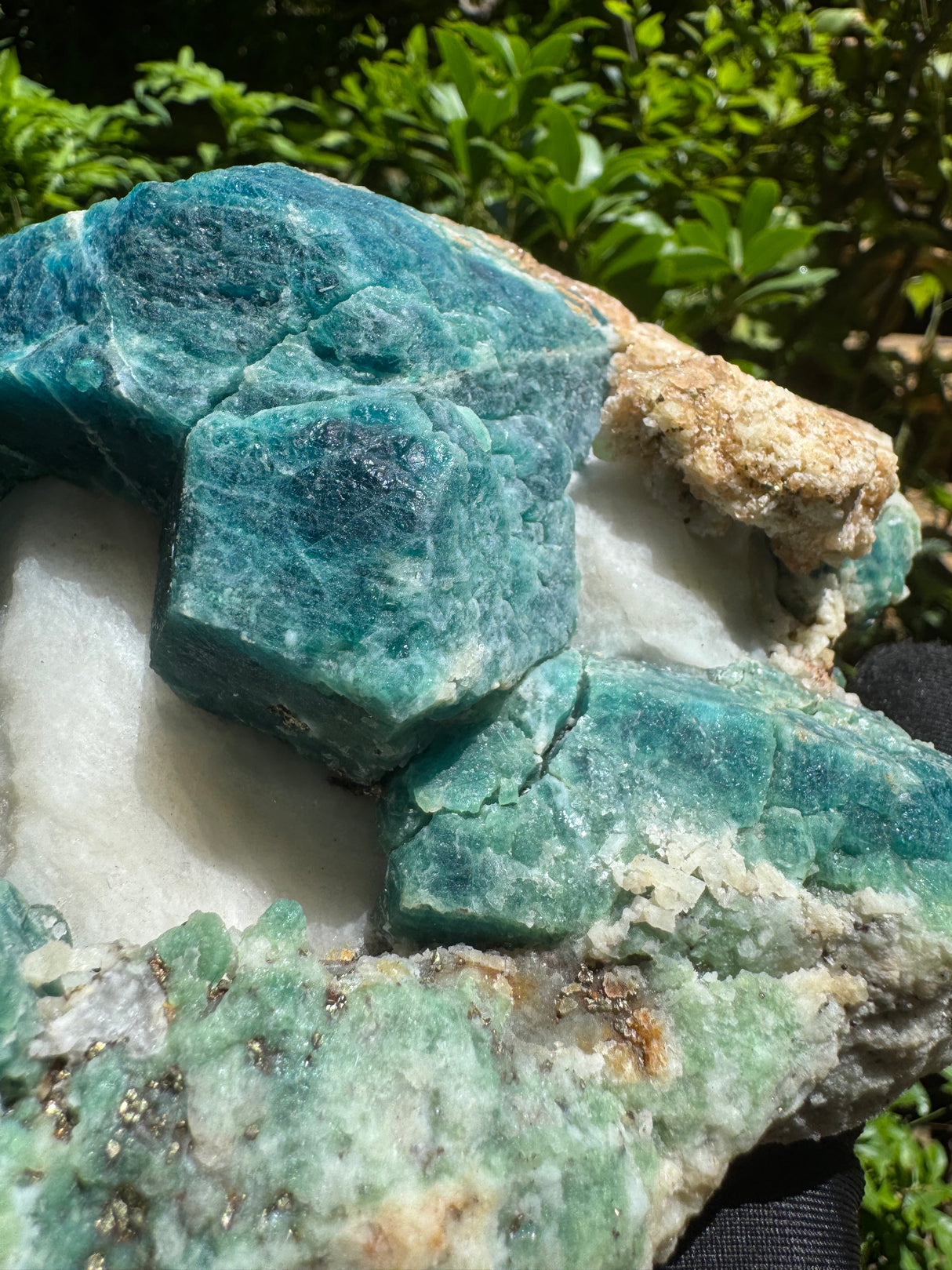 Sodalite Specimen - 4.8lb