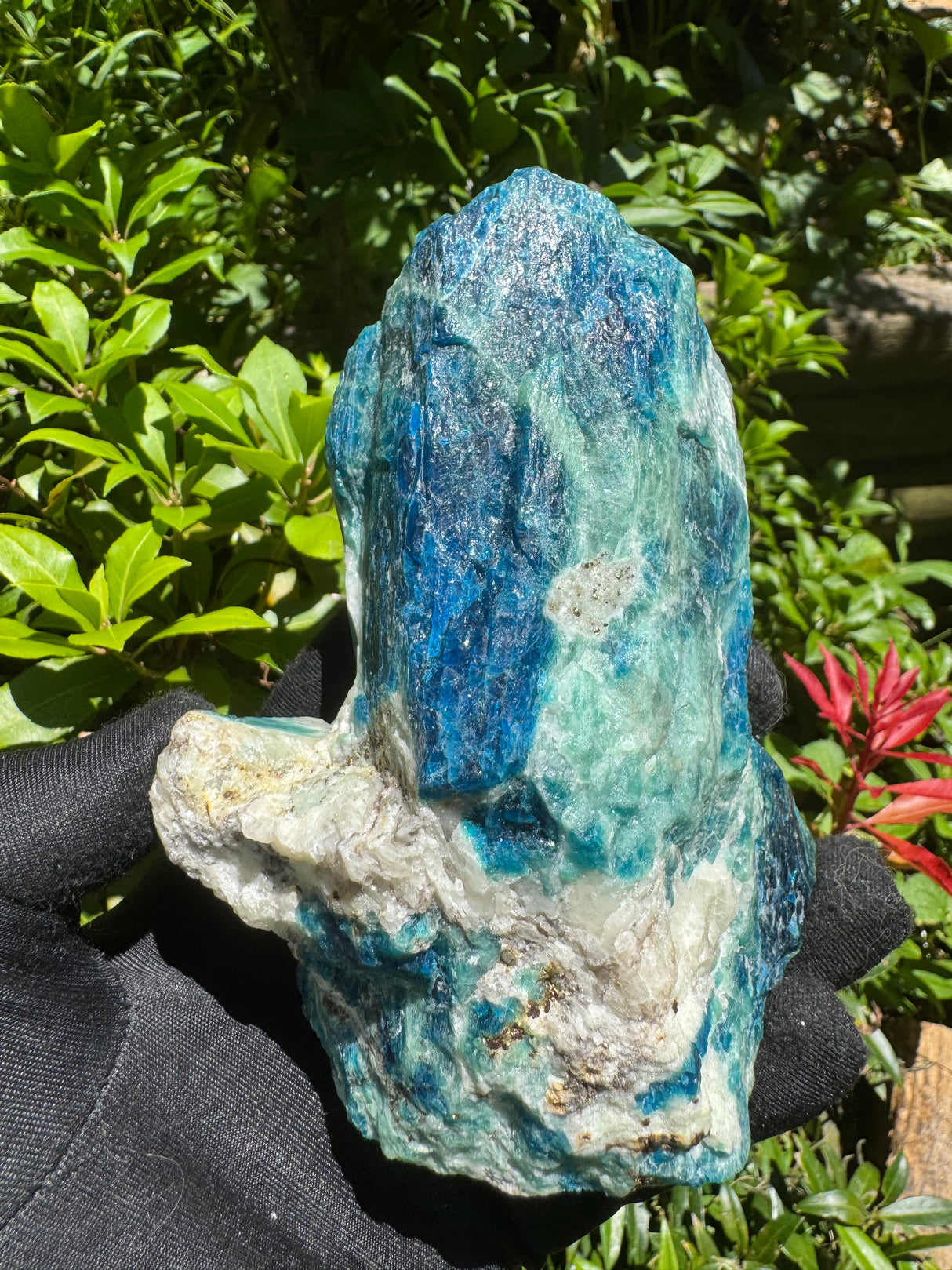 Sodalite Specimen - 1.46lb
