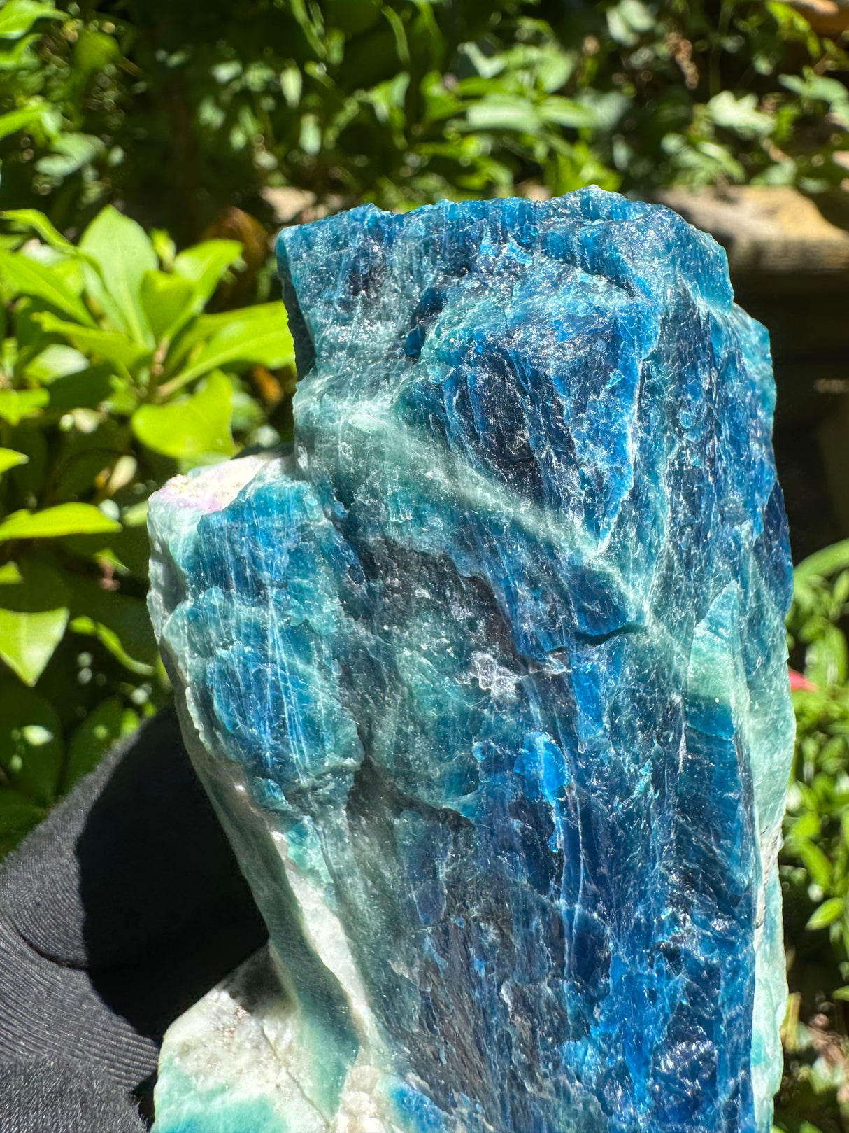 Sodalite Specimen - 1.46lb
