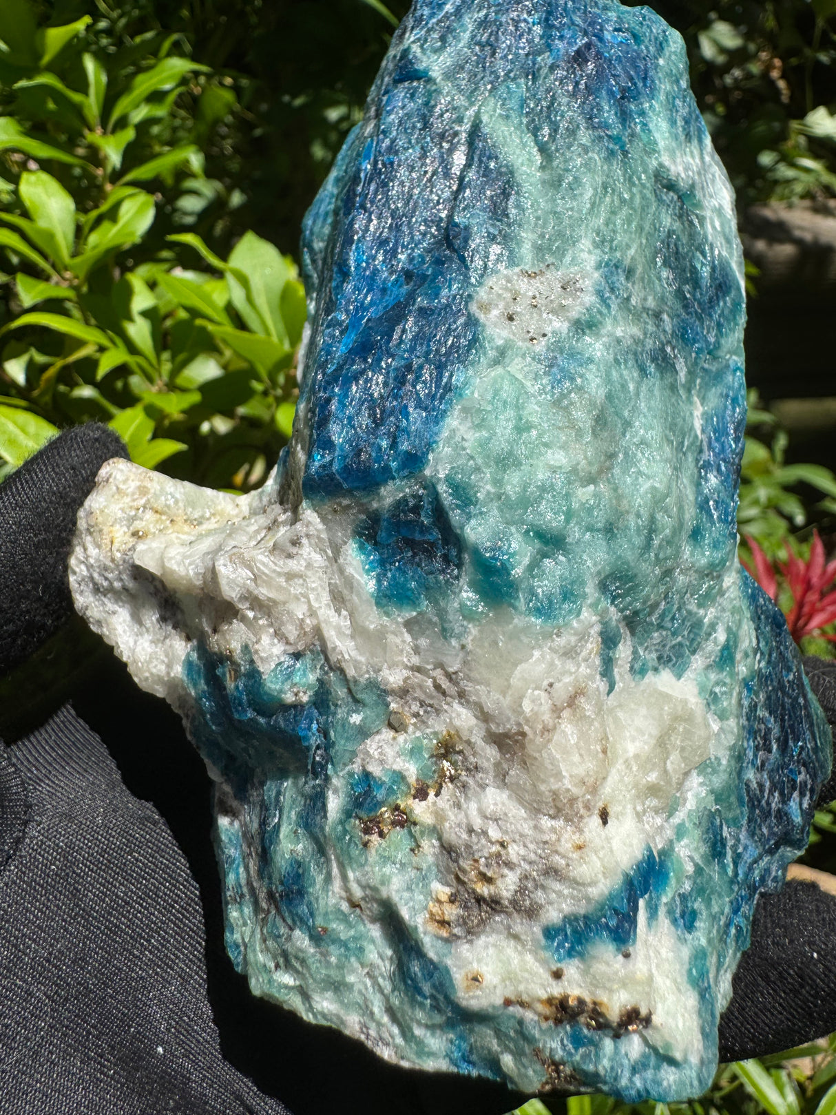 Sodalite Specimen - 1.46lb