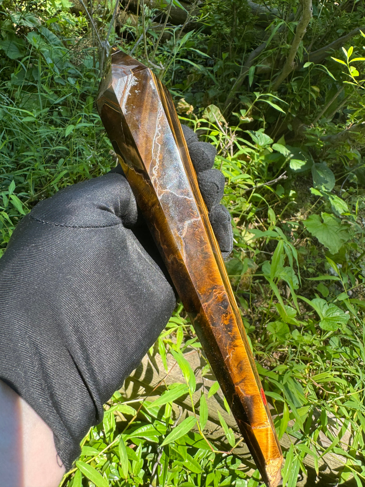 Tigers Eye Polished Wand - 525g
