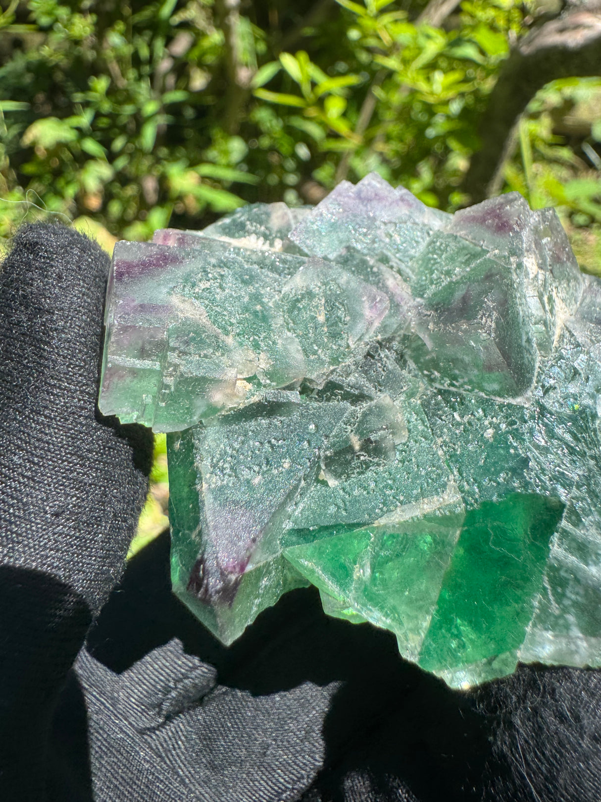 Fluorite Specimen - 154g