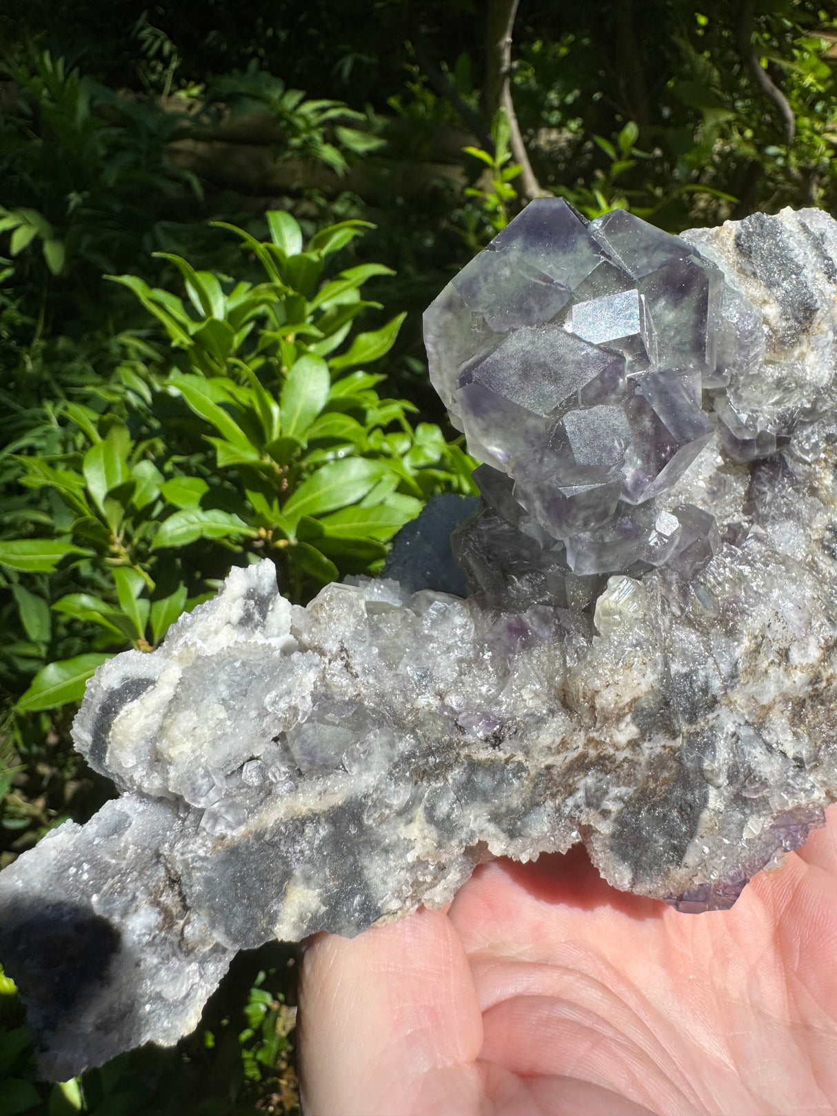 Fluorite Specimen - 928g