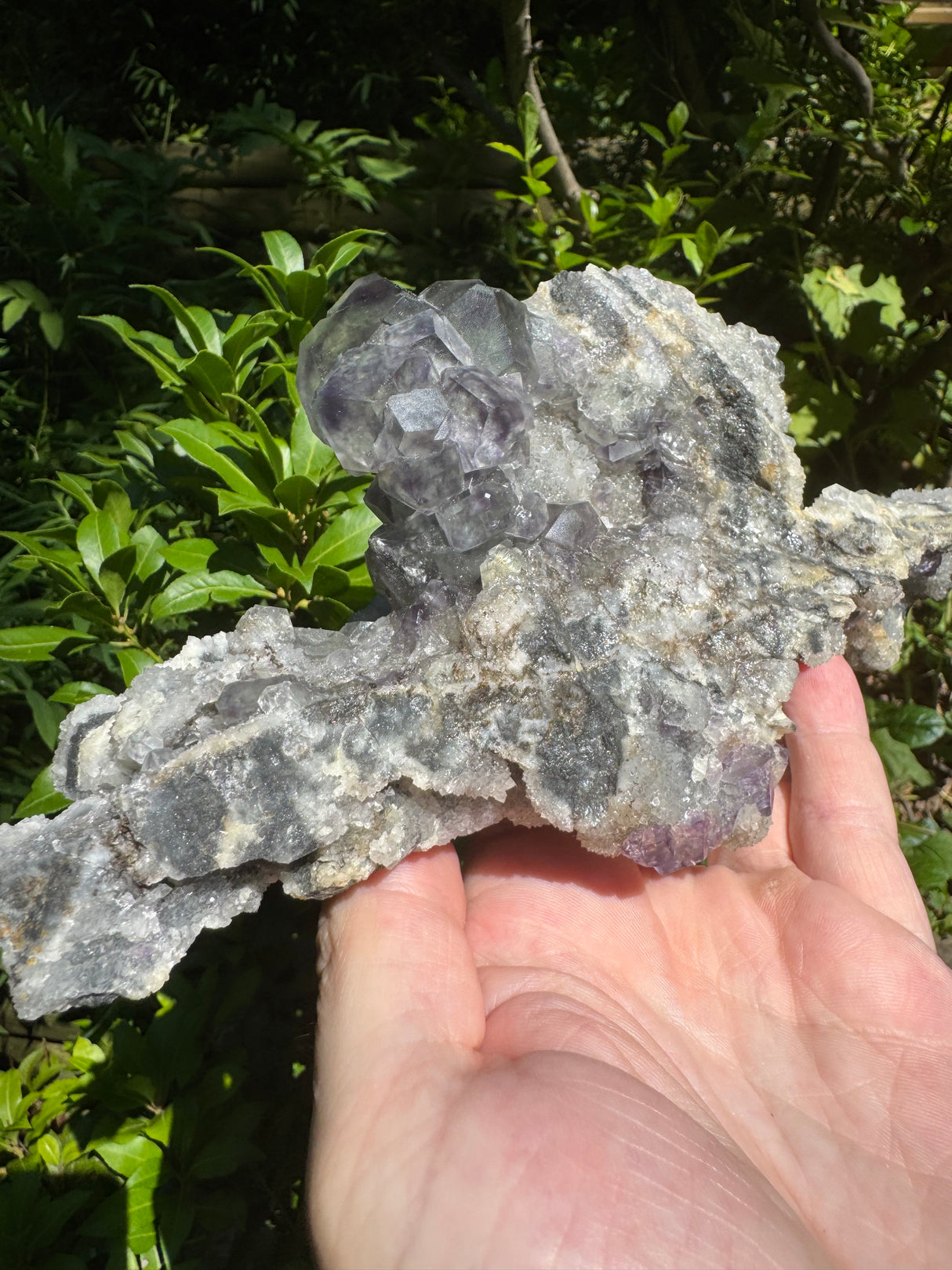 Fluorite Specimen - 928g