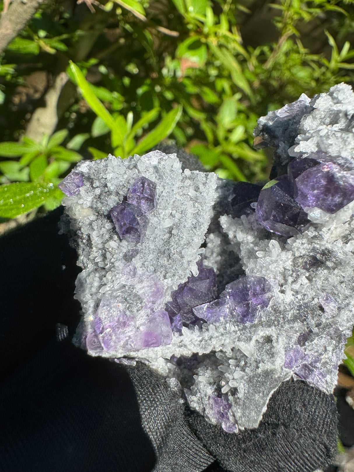 Tanzanite Fluorite Specimen - 68g