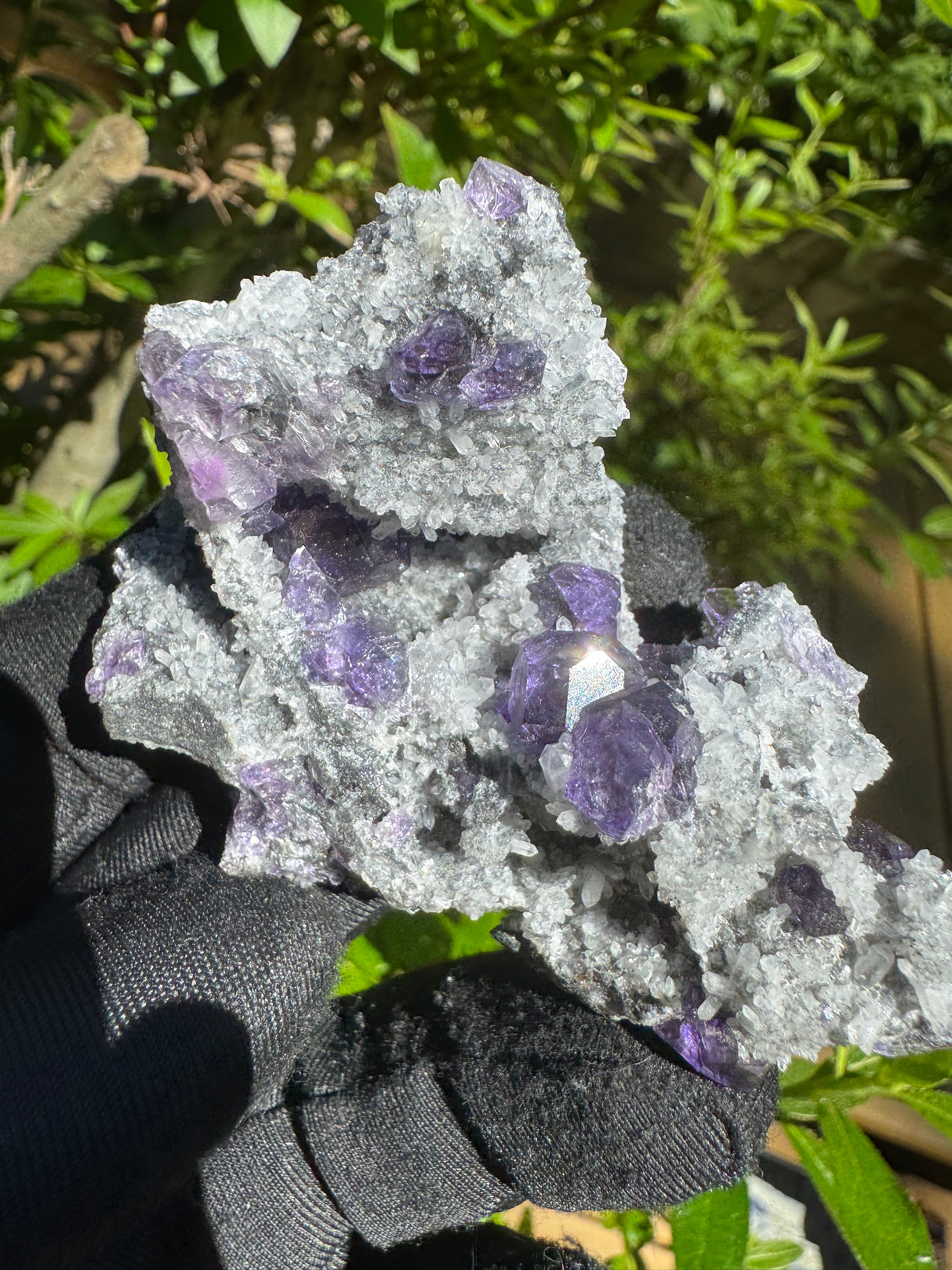 Tanzanite Fluorite Specimen - 68g