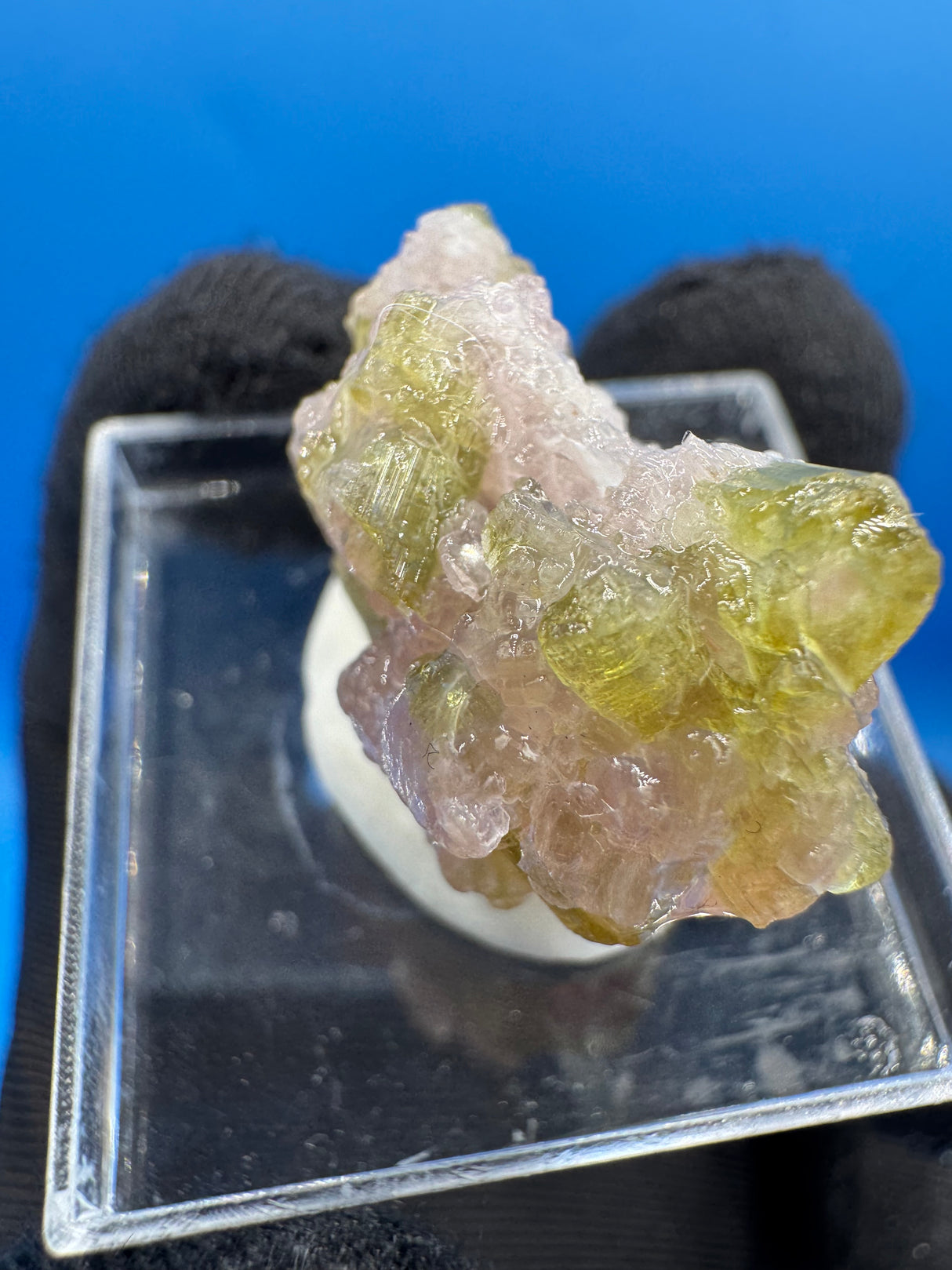 Watermelon Tourmaline Specimen - 11g