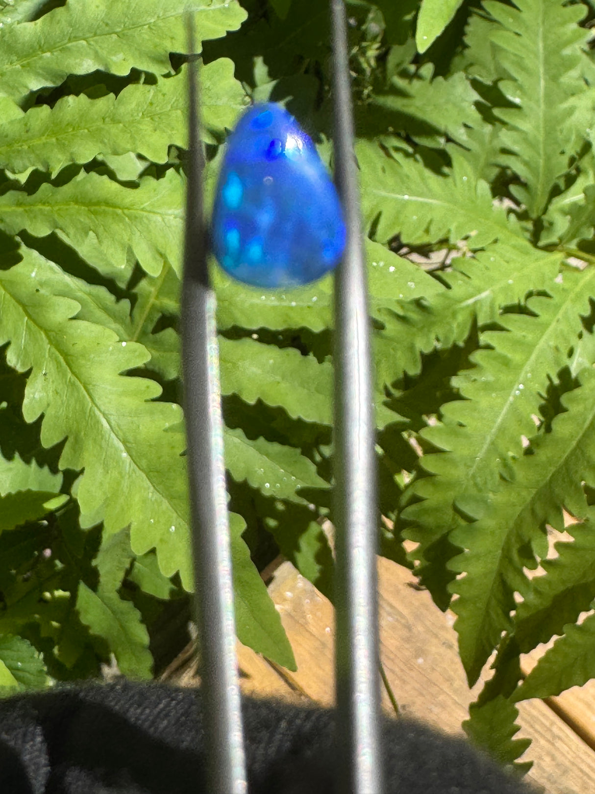 Opal Dublet Ready For Jewelry