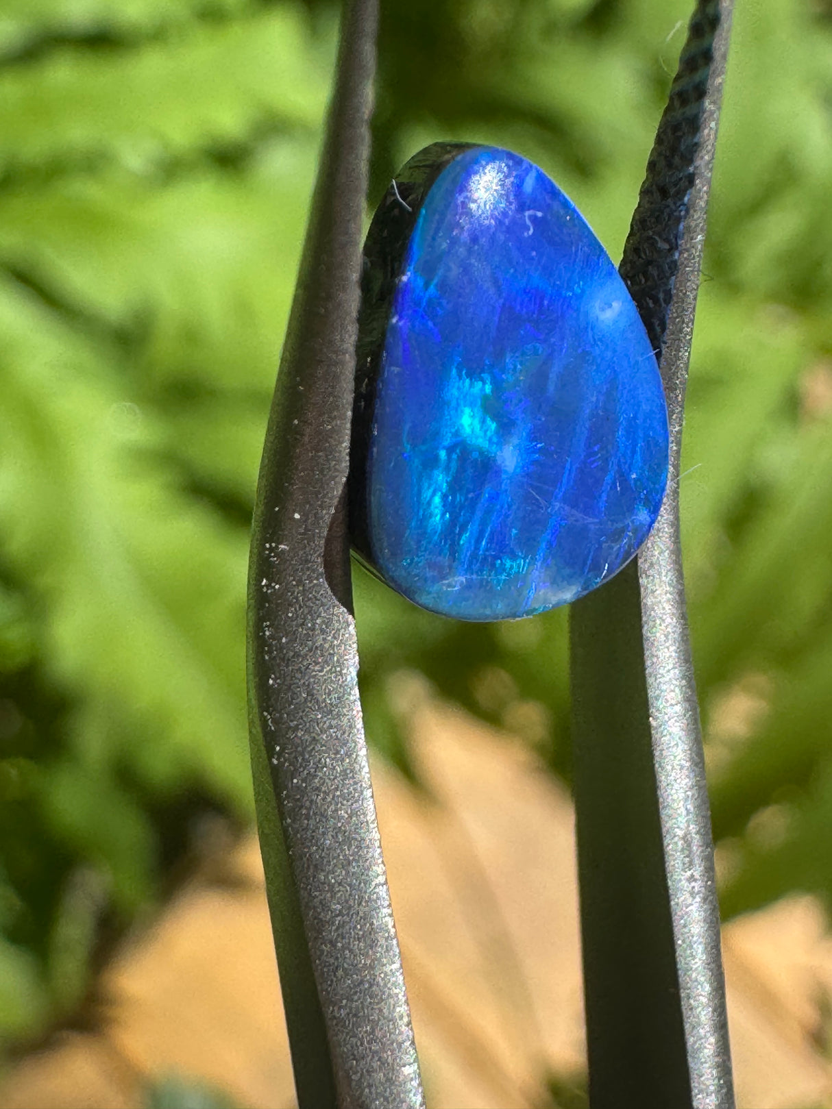 Opal Dublet Ready For Jewelry