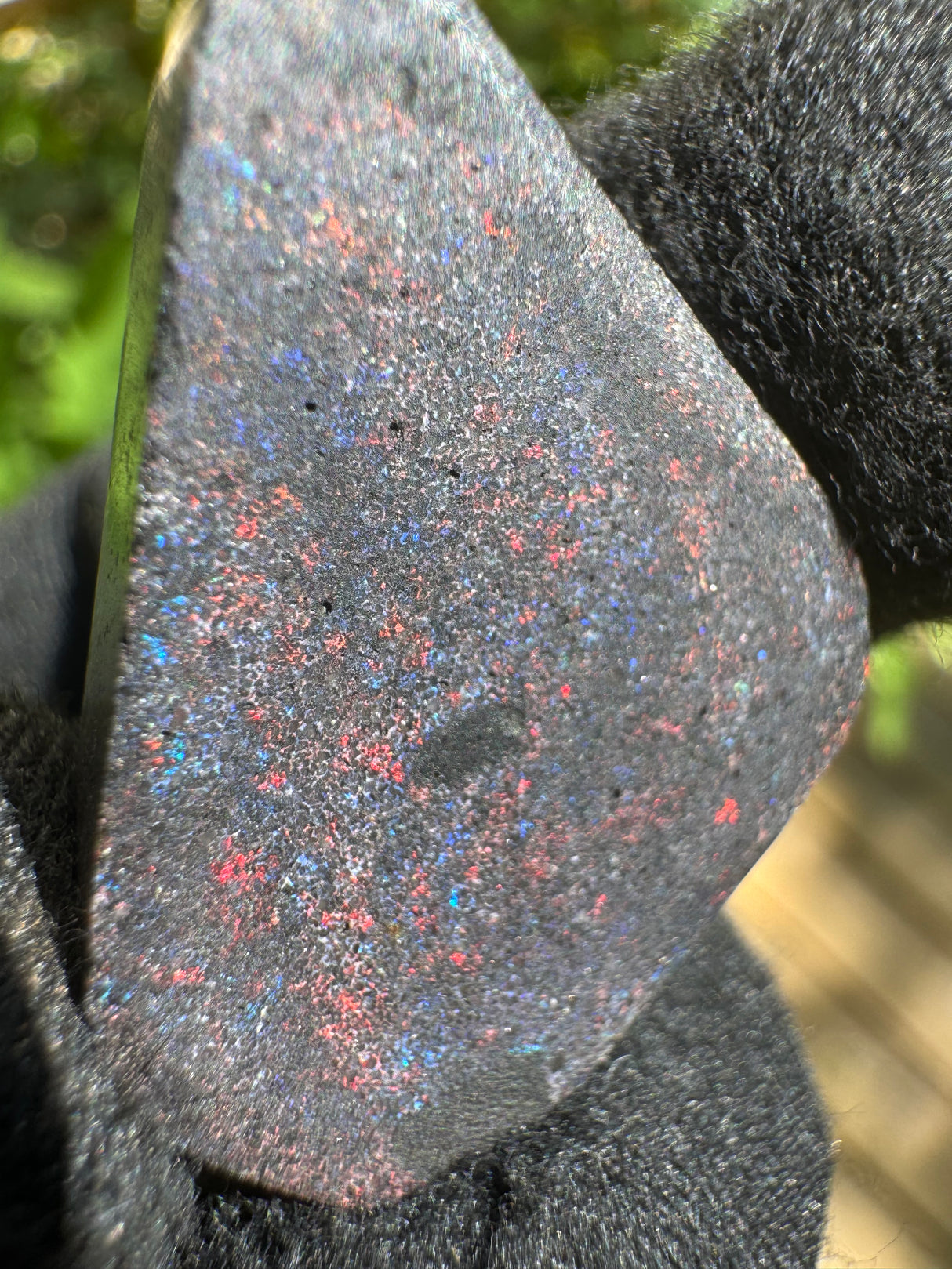Boulder Opal - 3g