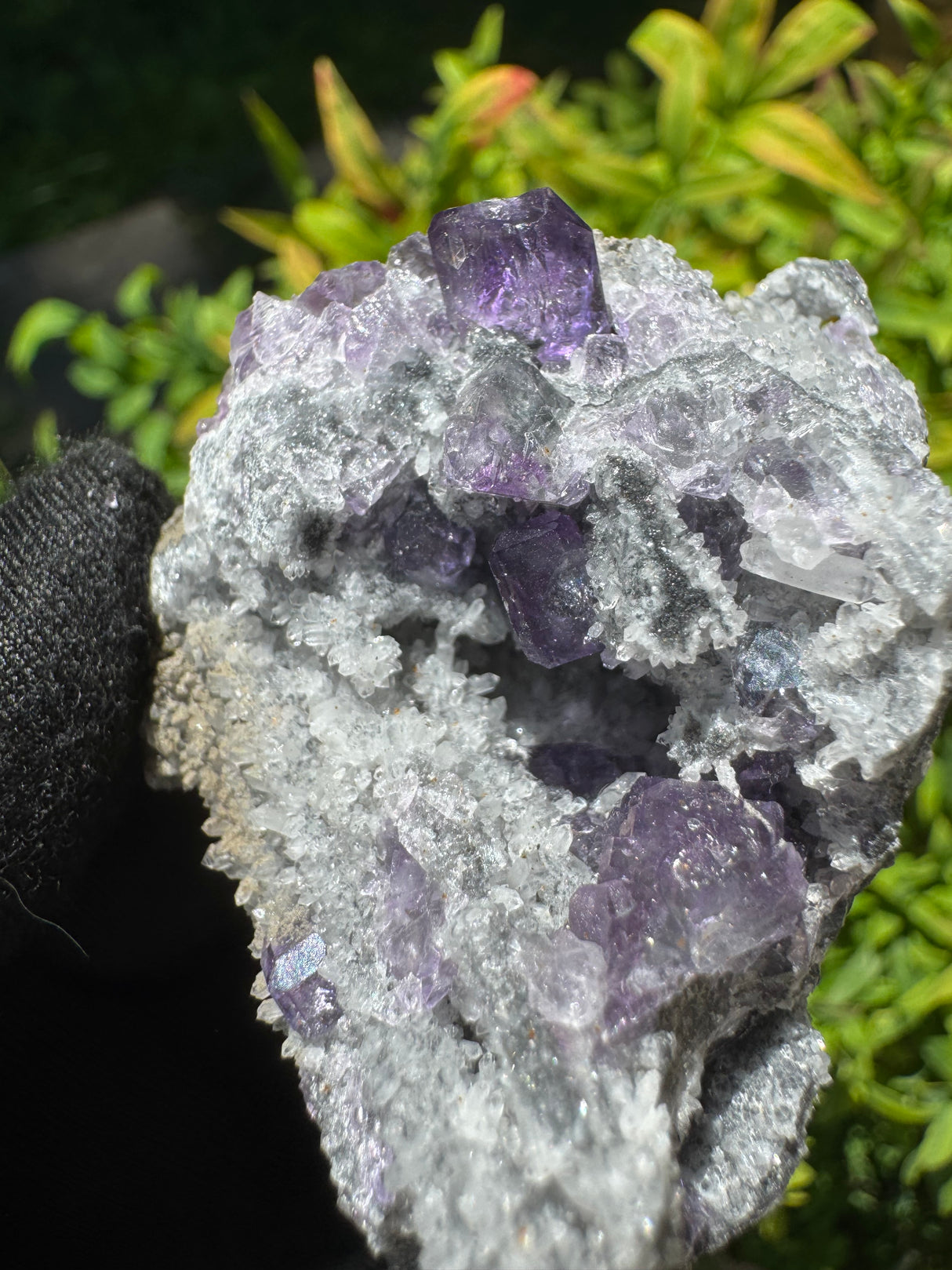 Tanzanite Fluorite Specimen - 60g