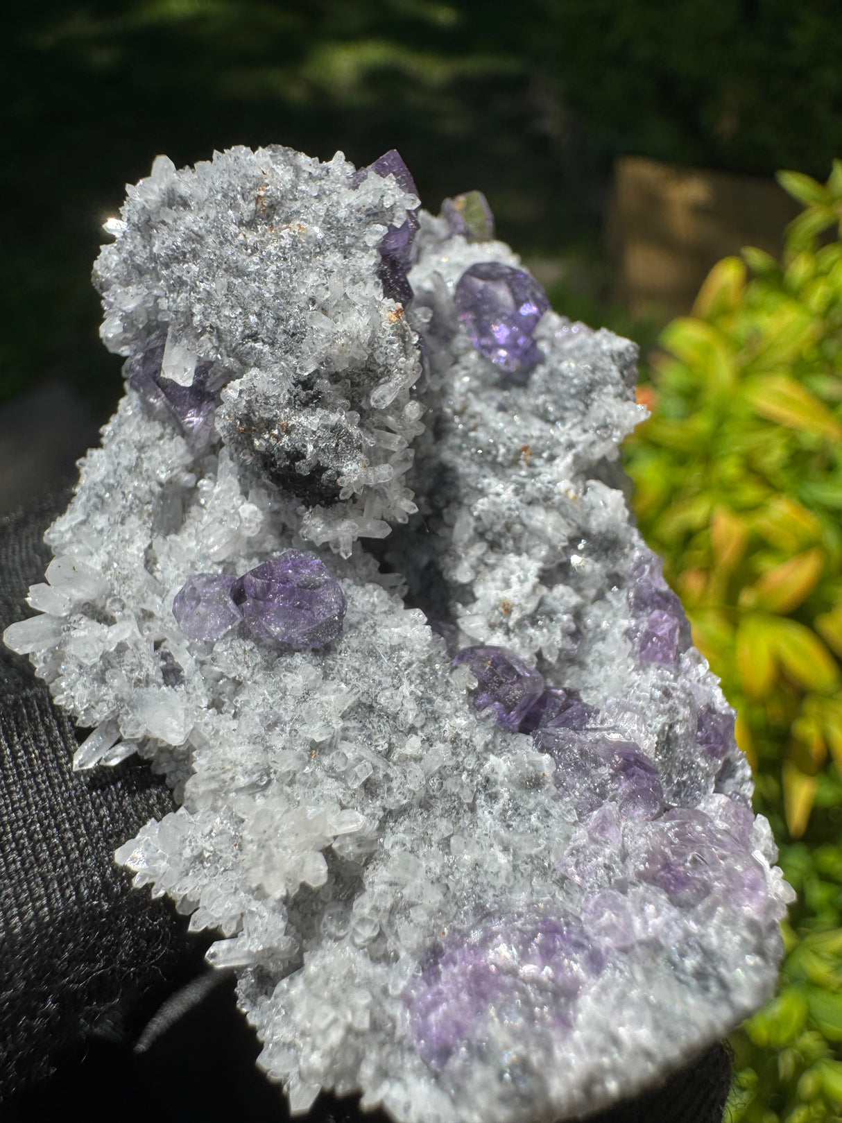 Tanzanite Fluorite Specimen - 39g